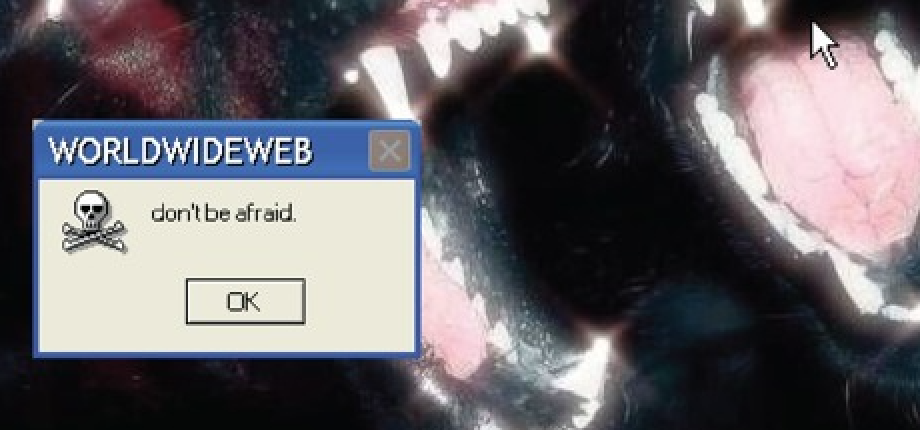 wonder headerpng by Wonder