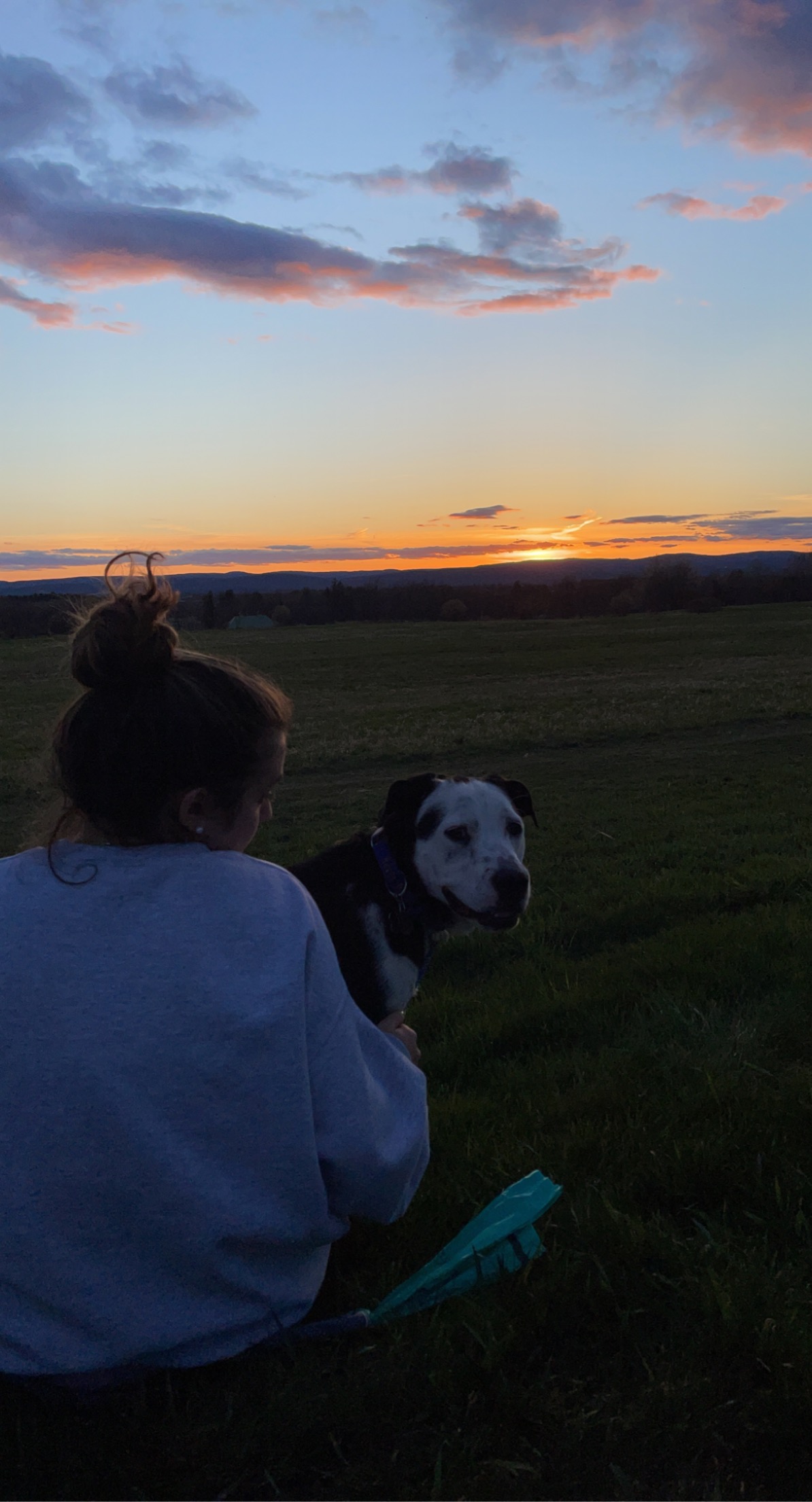 img 8526jpg by Rebecca Girshik