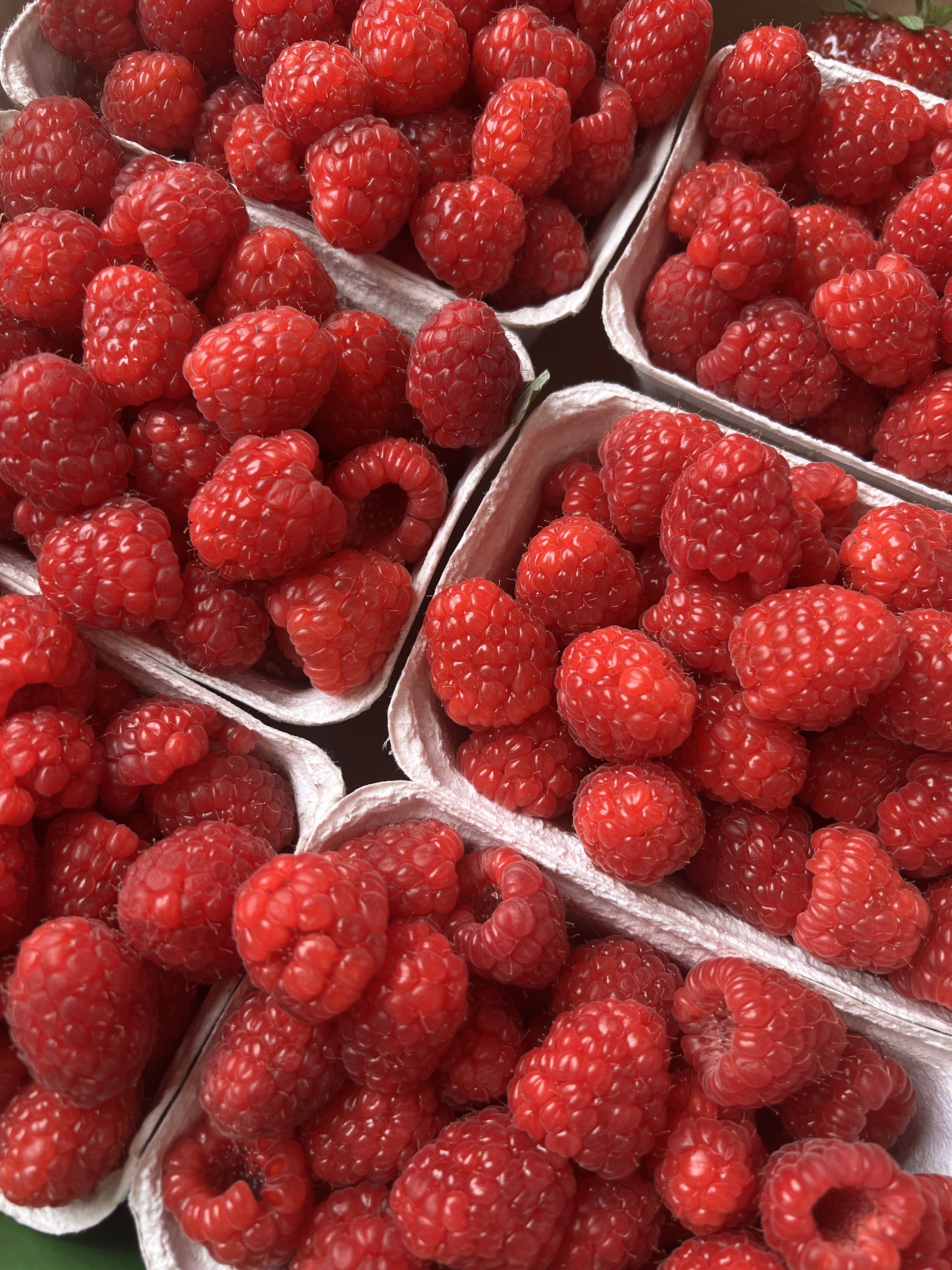 raspberries