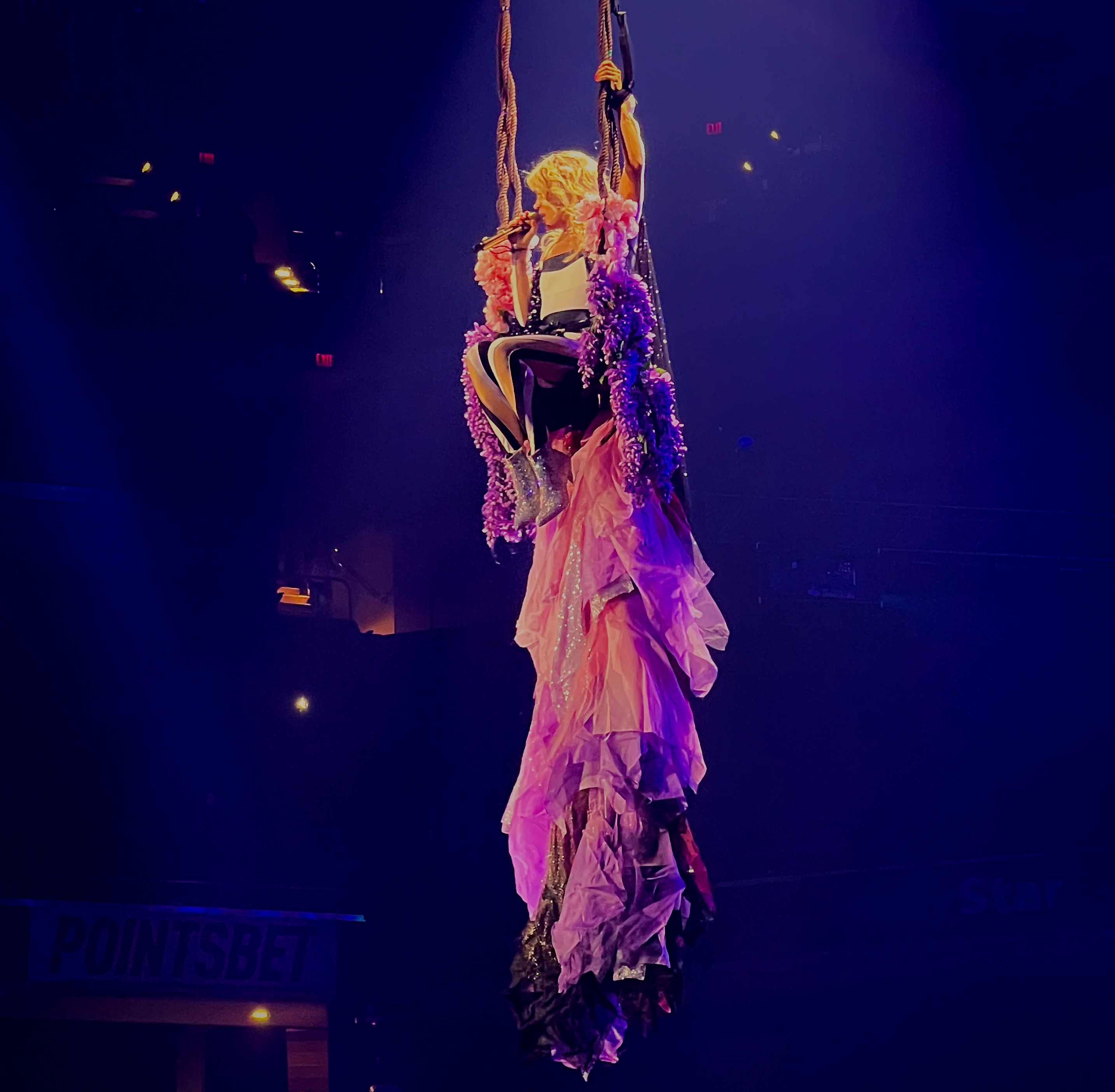 Carrie Underwood concert