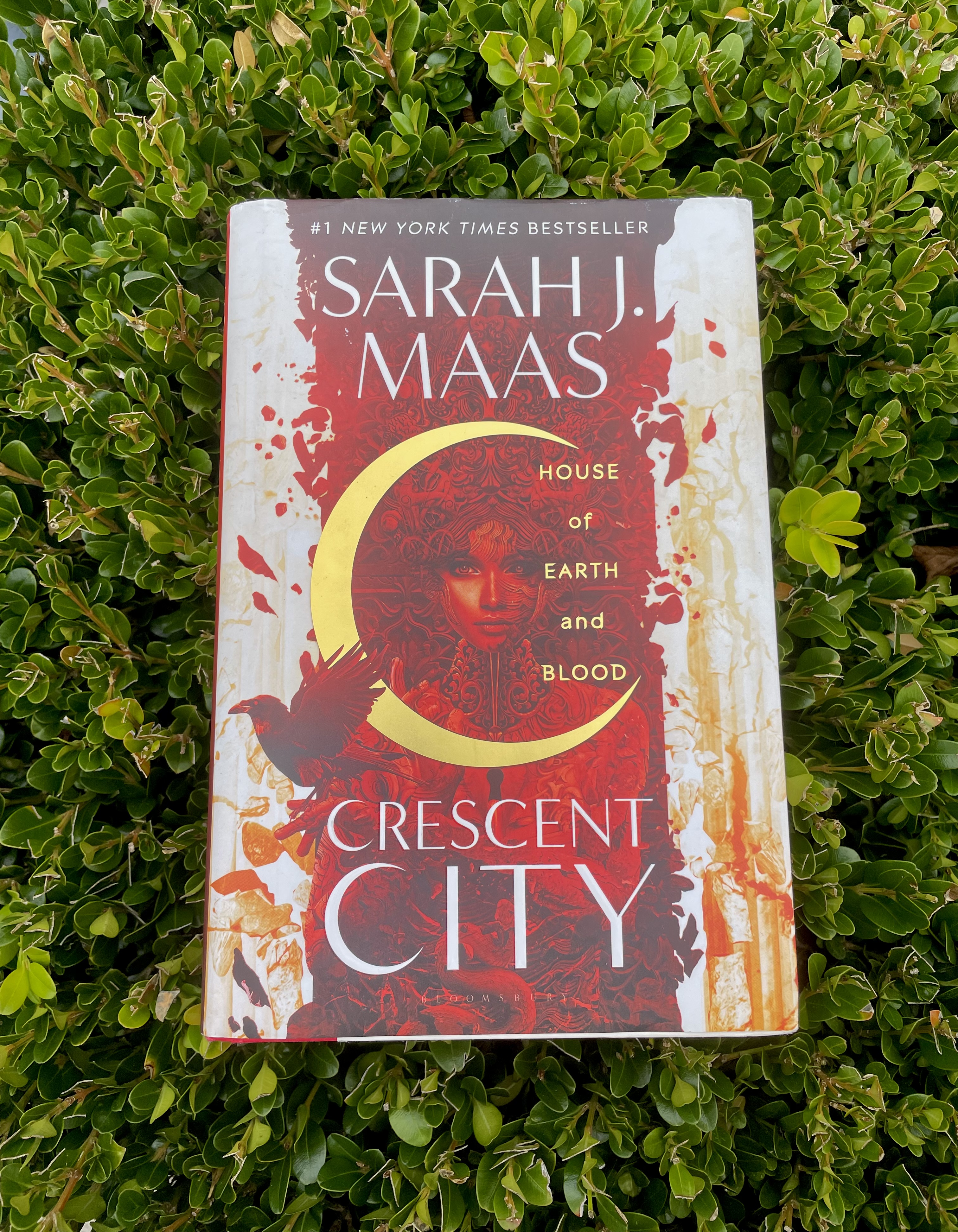 red book cover on a green background