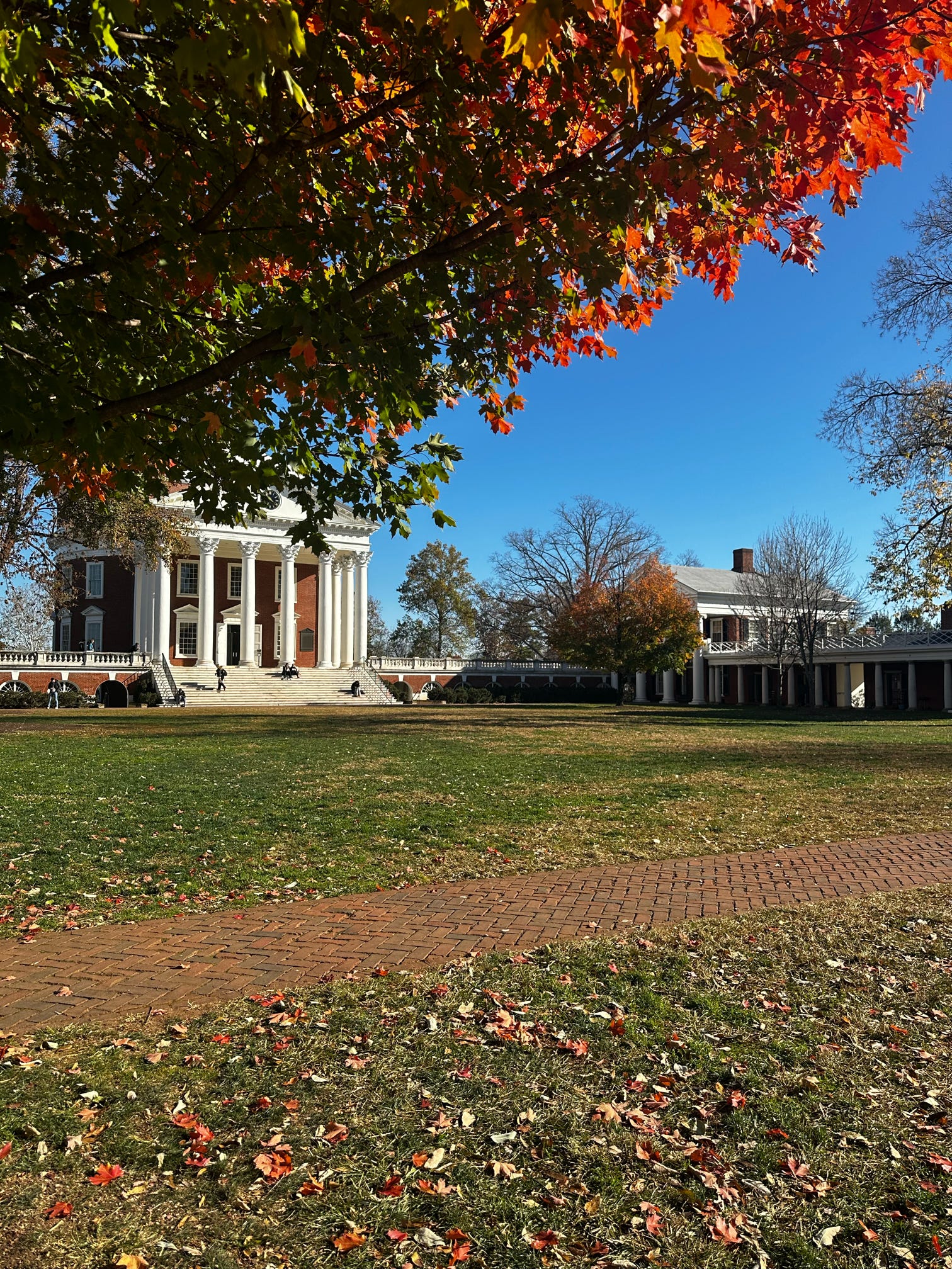 20240913 161936 bd722cjpegjpg by Lara Martin?width=698&height=466&fit=crop&auto=webp&dpr=4