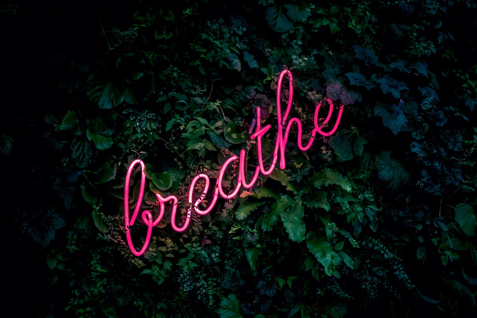 neon sign, pink color that says breathe.