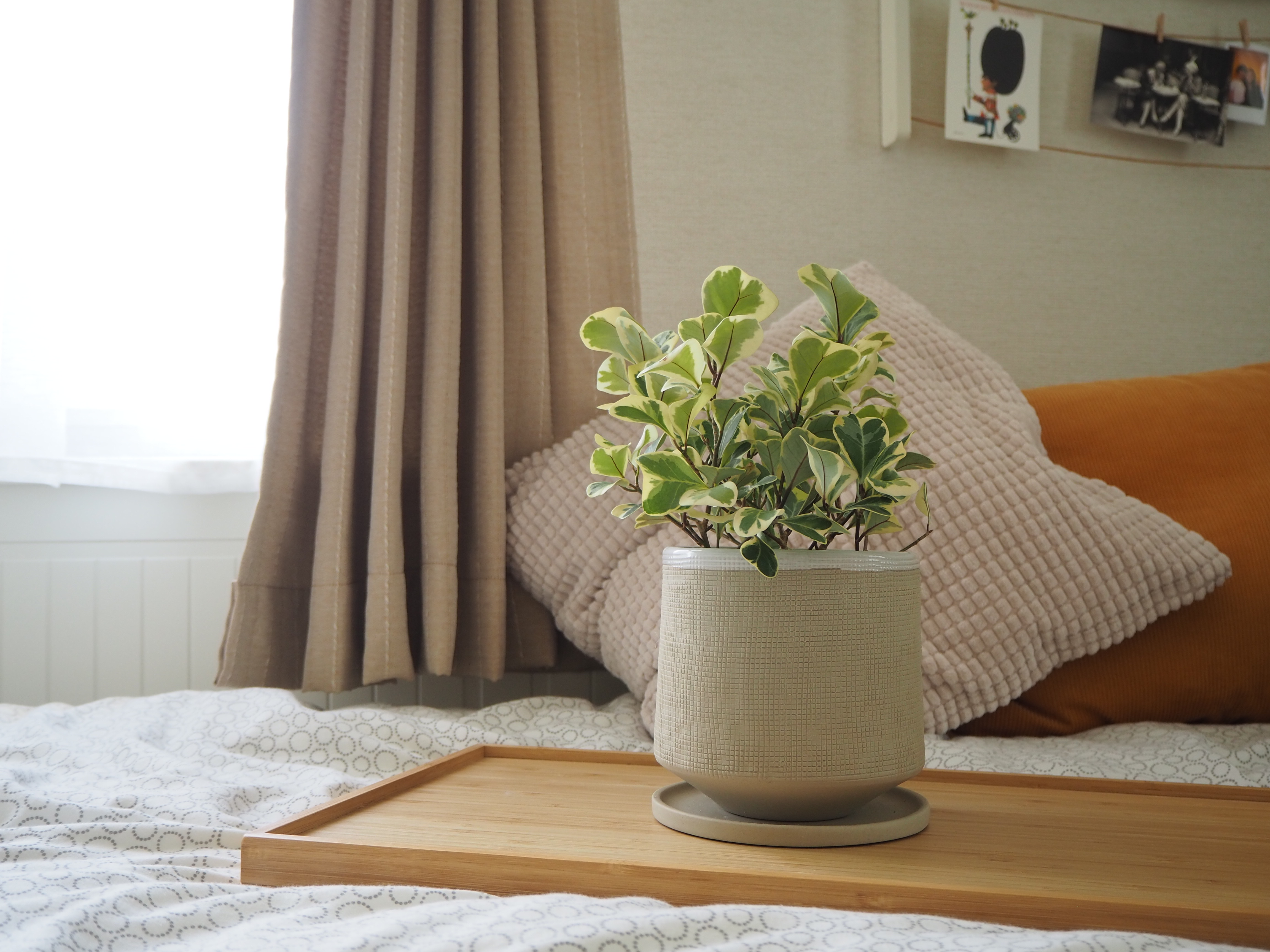 ebdecdeca240419087ca1416b0aa57e6jpegjpg by Ellie Eshima?width=698&height=466&fit=crop&auto=webp&dpr=4