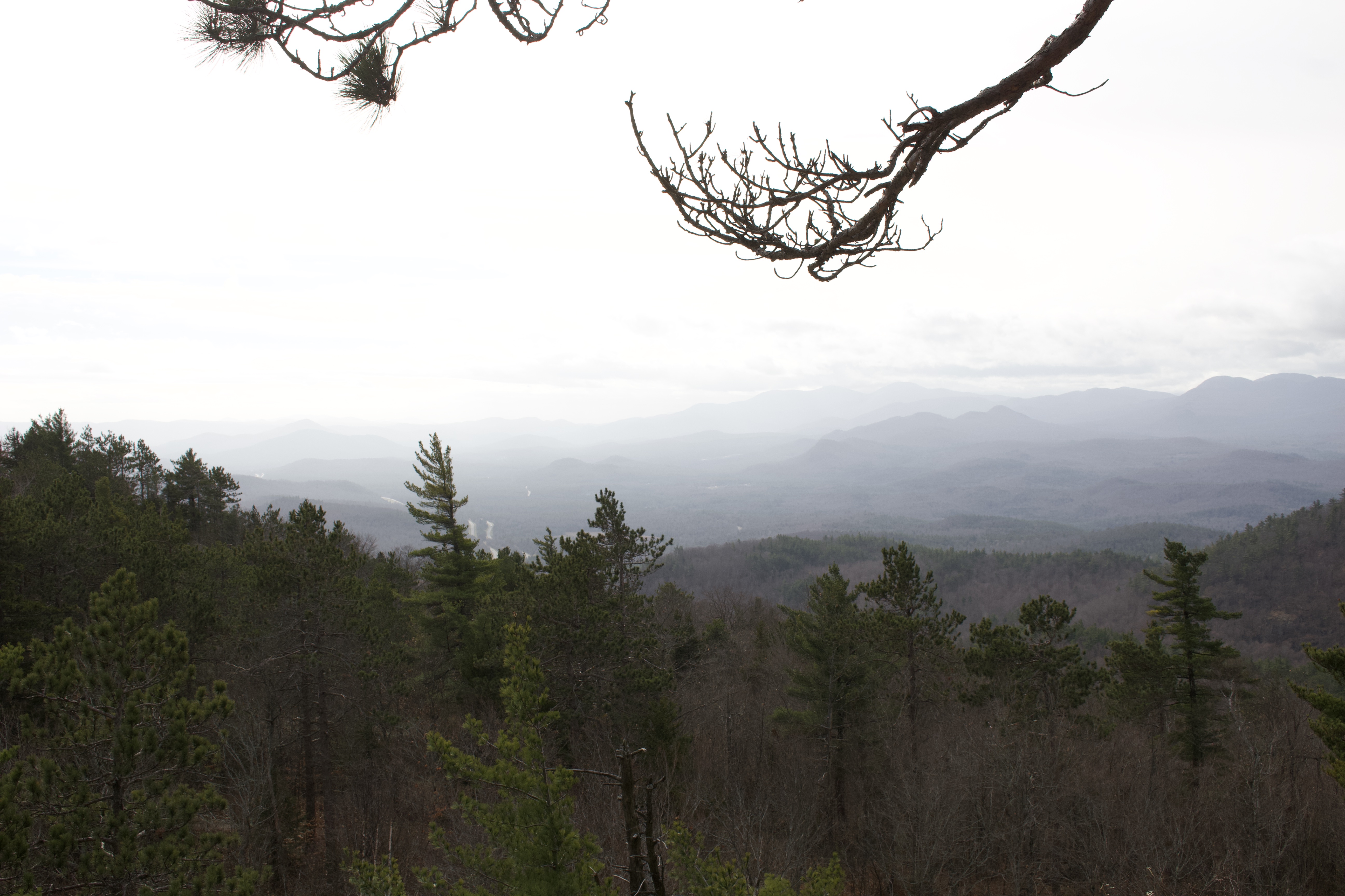 f7e4a633f5e545e2a3844edc65ffee06 1 100 ojpegjpg by Johanna Weeks?width=698&height=466&fit=crop&auto=webp&dpr=4