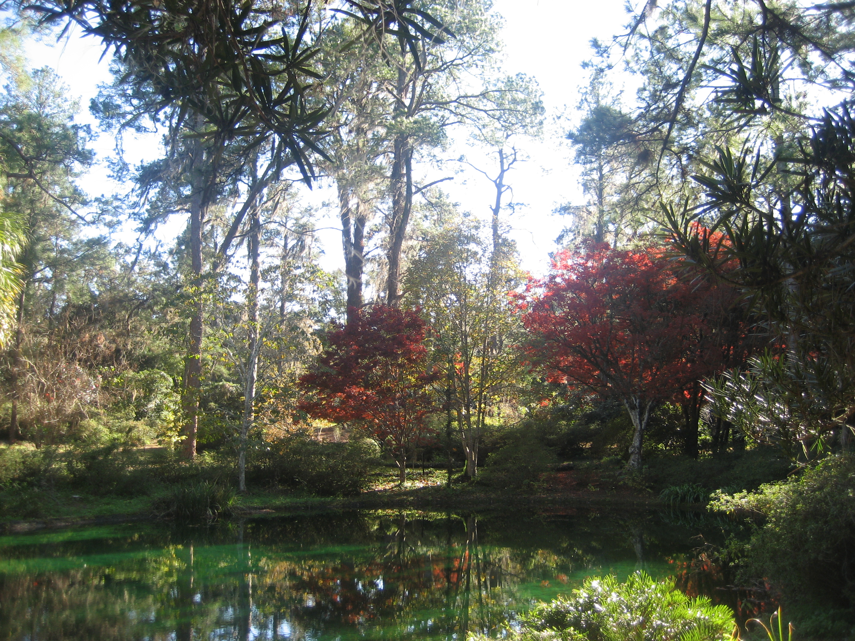 Alfred B. Maclay Gardens State Park