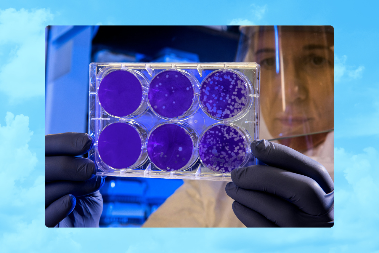 women in stem?width=698&height=466&fit=crop&auto=webp&dpr=4