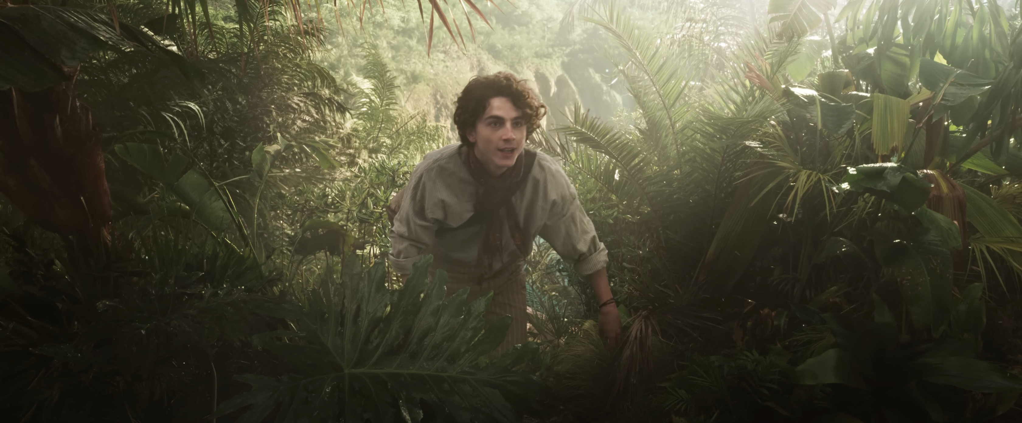 timothee chalamet in wonka