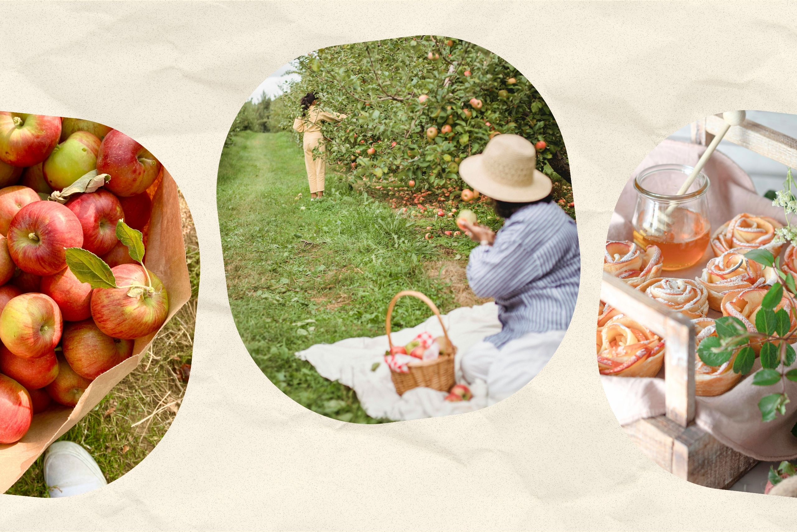 appleguide?width=698&height=466&fit=crop&auto=webp&dpr=4