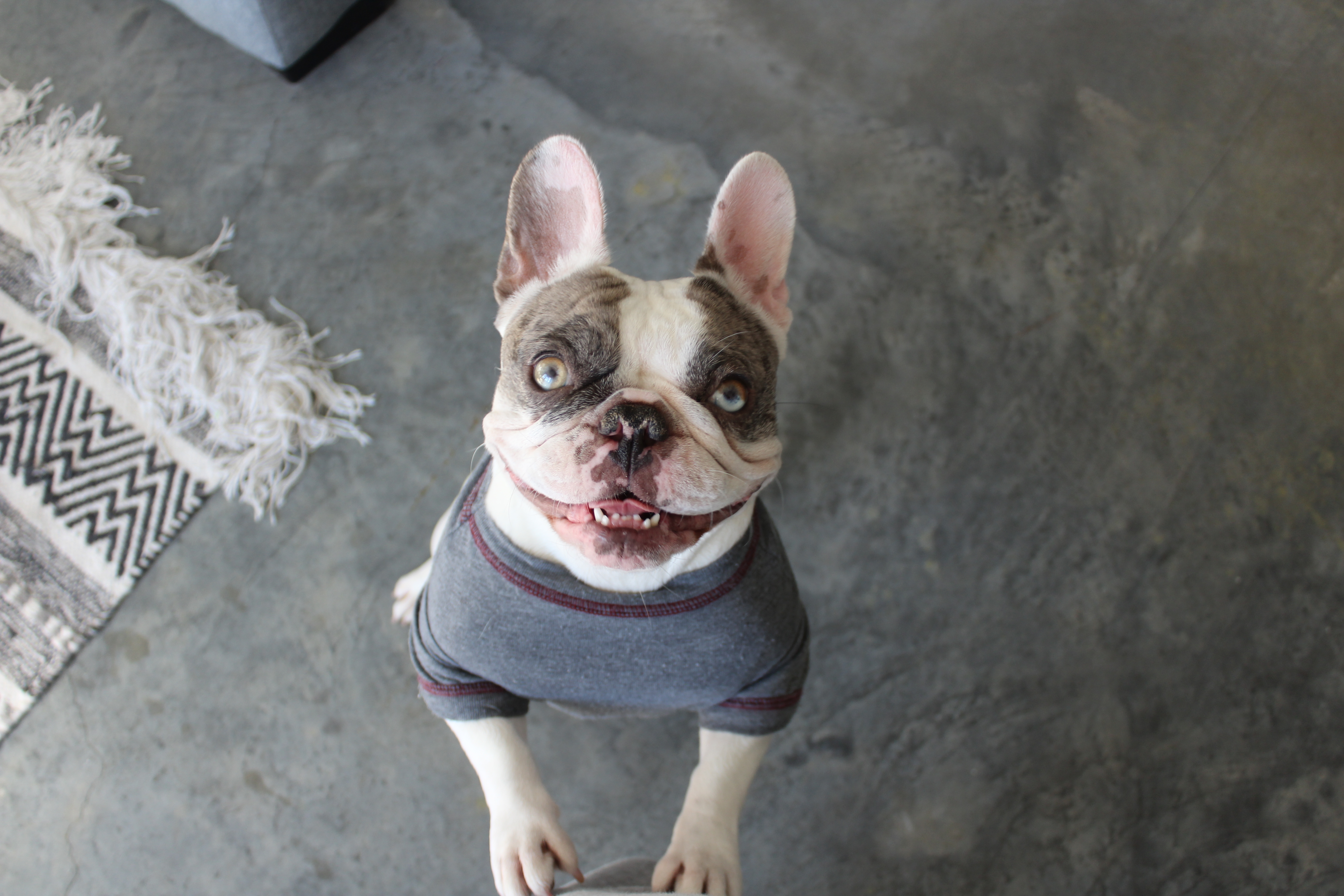 img7481jpg by Raegan Gioe