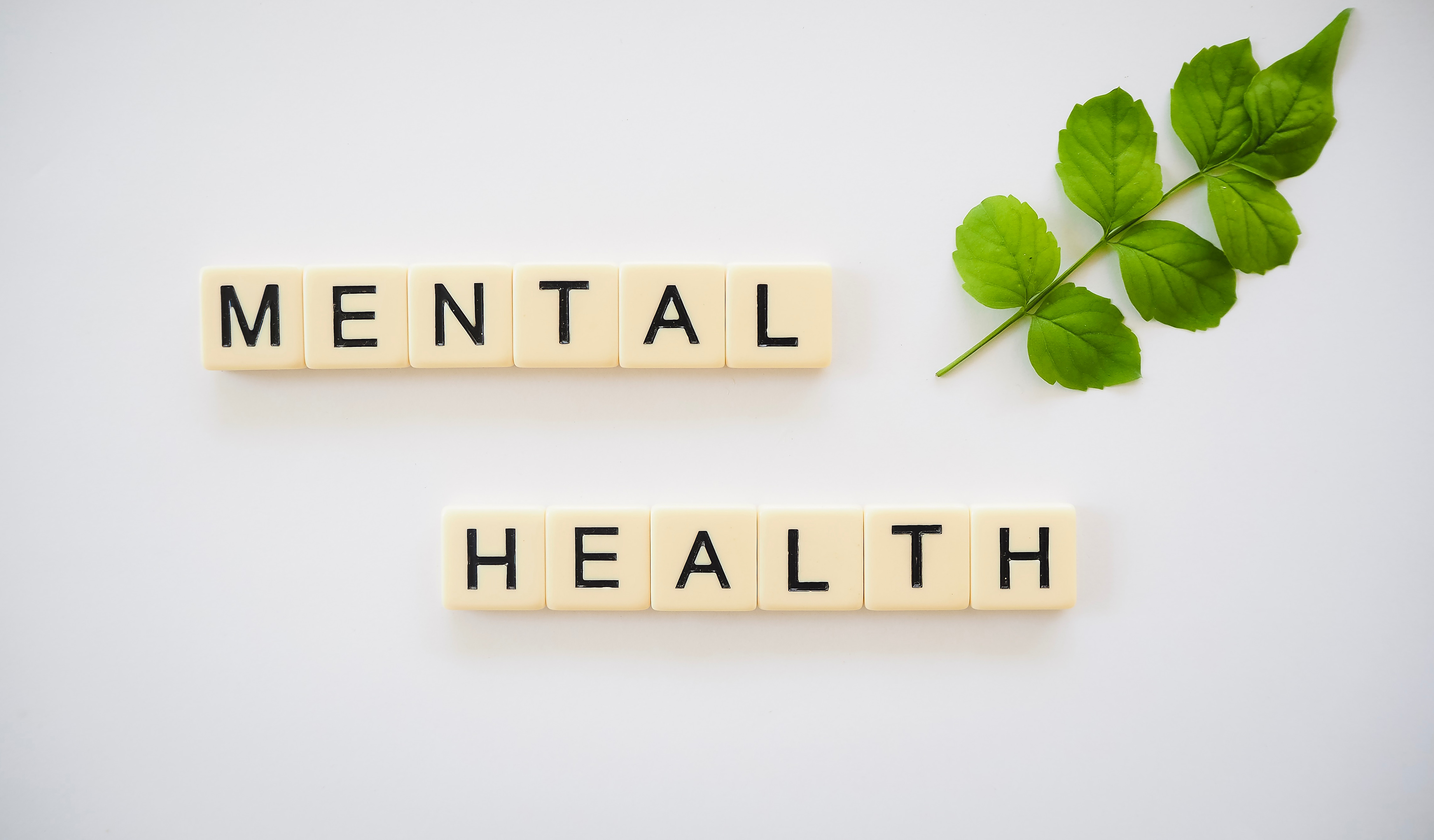 mental health rep imagejpg by Unsplash?width=698&height=466&fit=crop&auto=webp&dpr=4