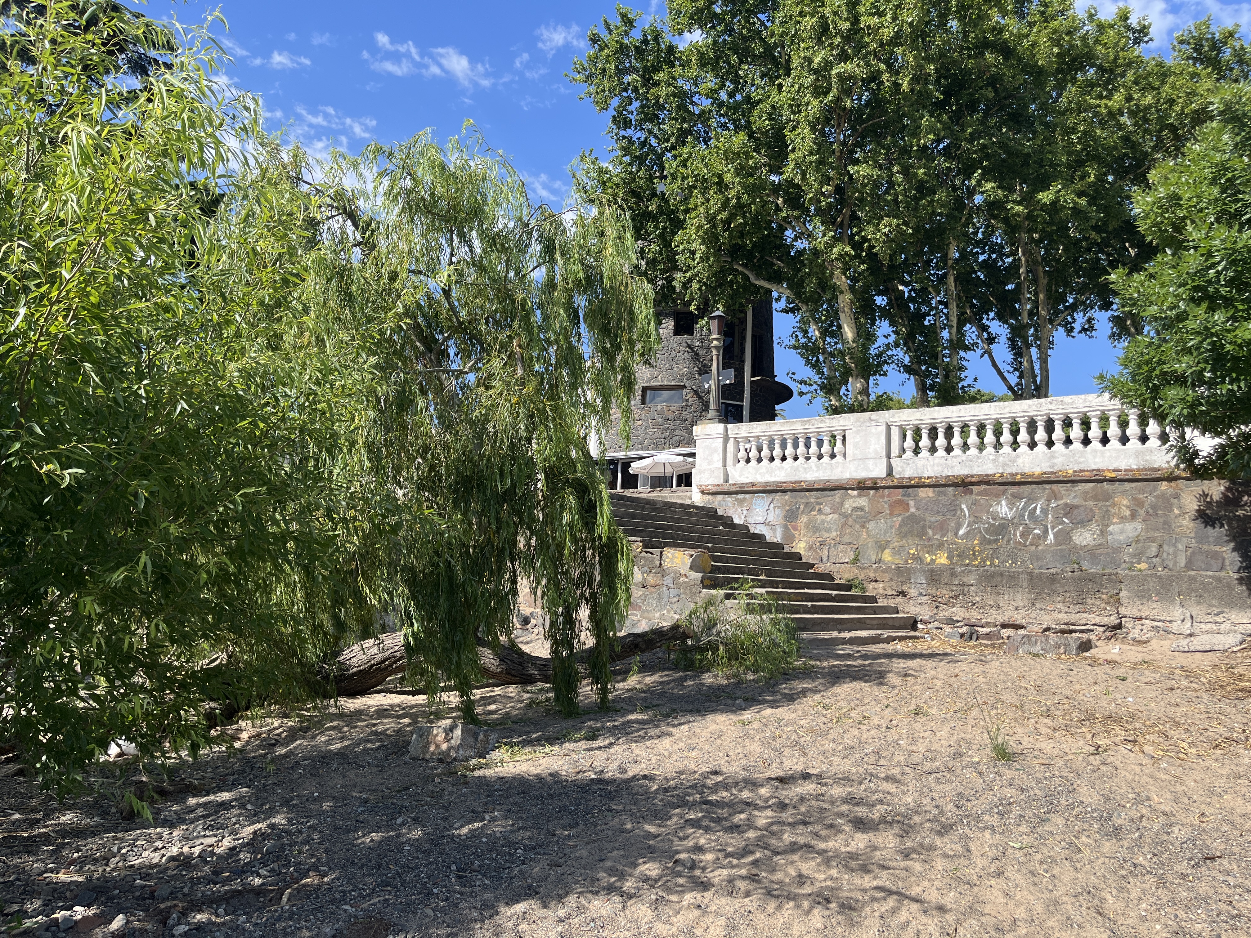 Steps leading from beach sand to a higher path sit next to a tree