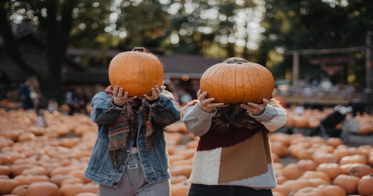 5 Ways to Maximize Spooky Season This Year