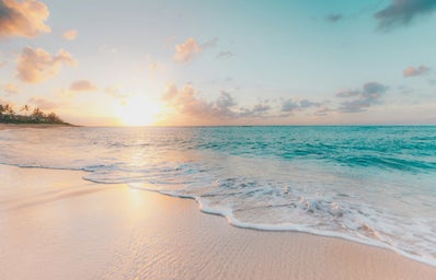 Seashore during golden hour