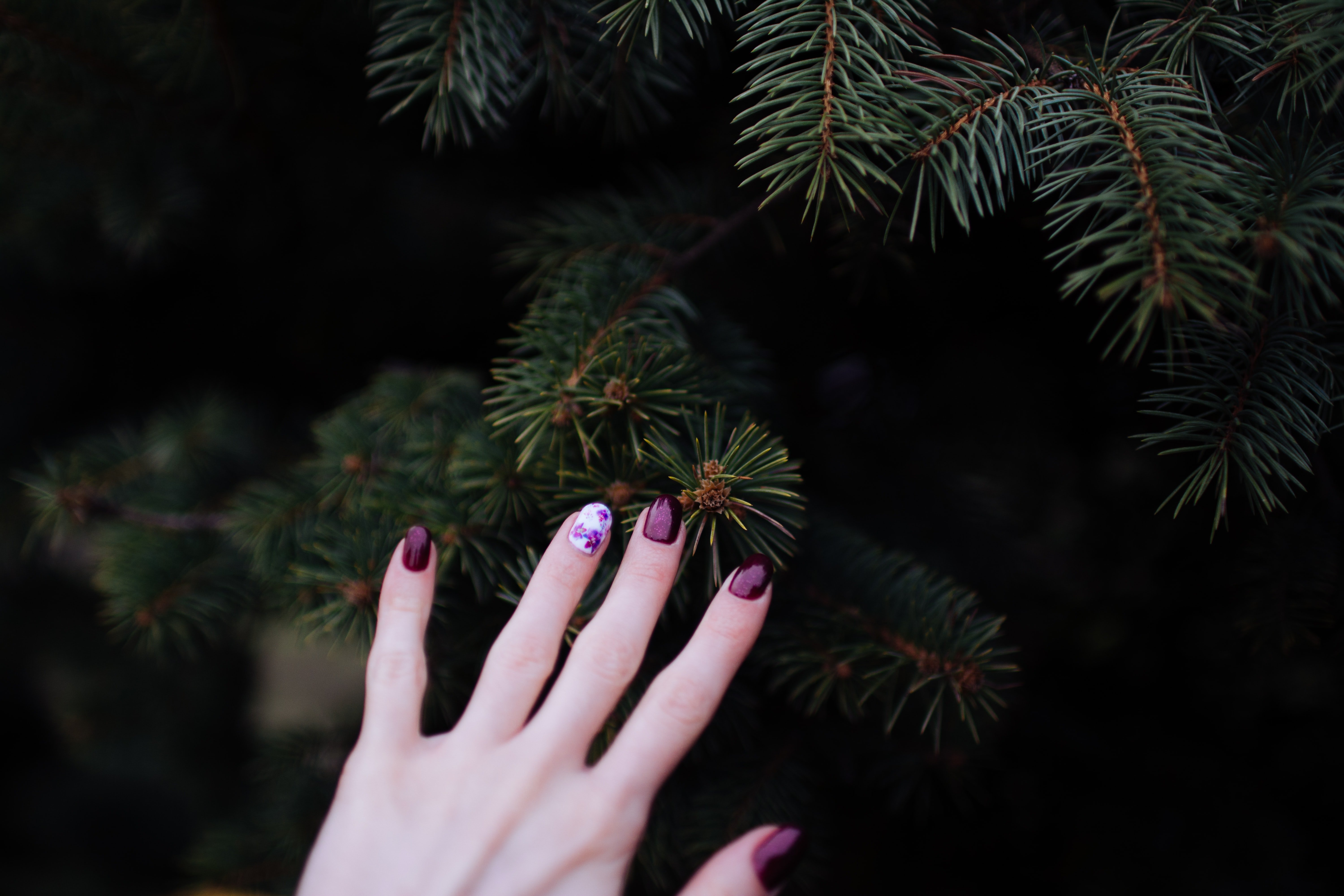 holiday manicure by Unsplash?width=698&height=466&fit=crop&auto=webp&dpr=4