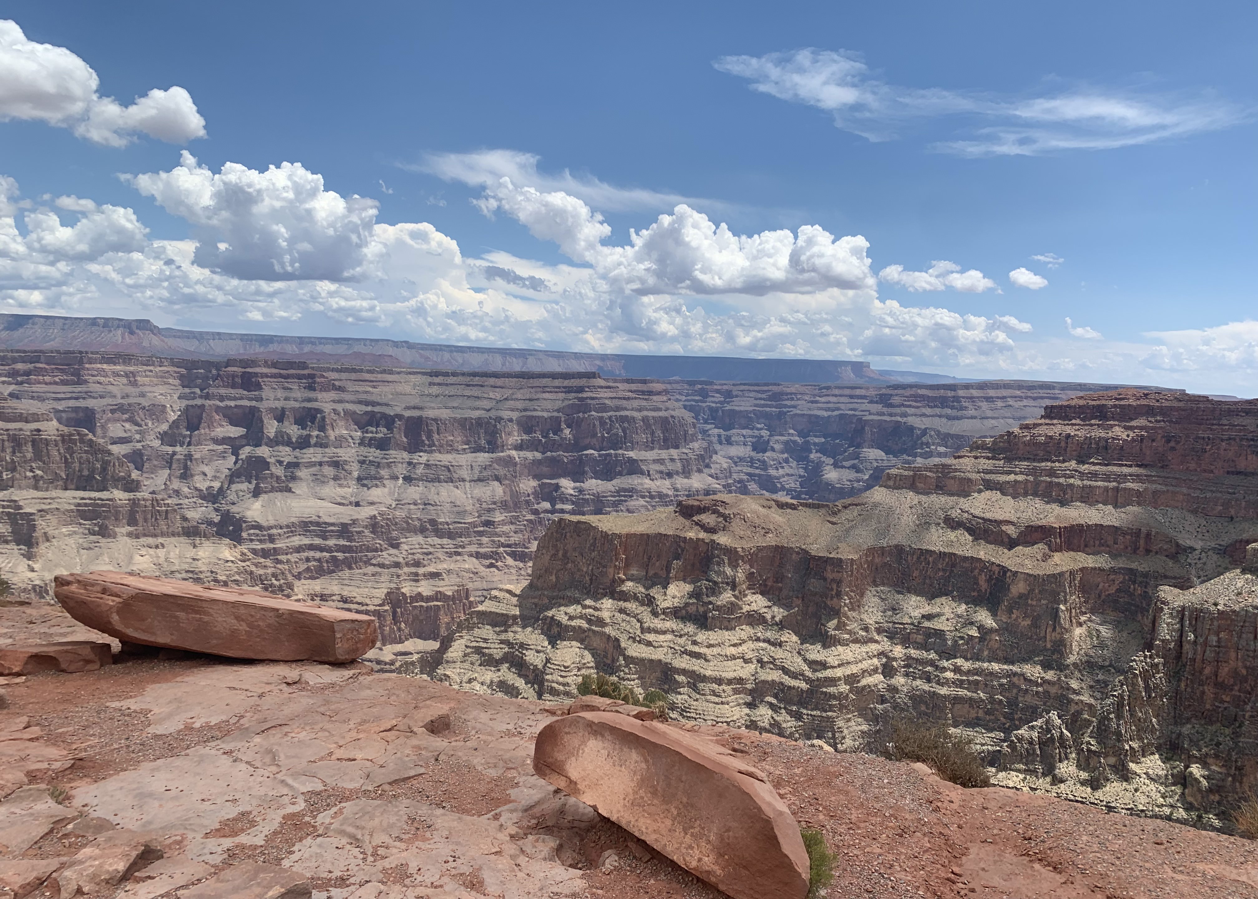 img 7367jpg by Katelyn Hampton