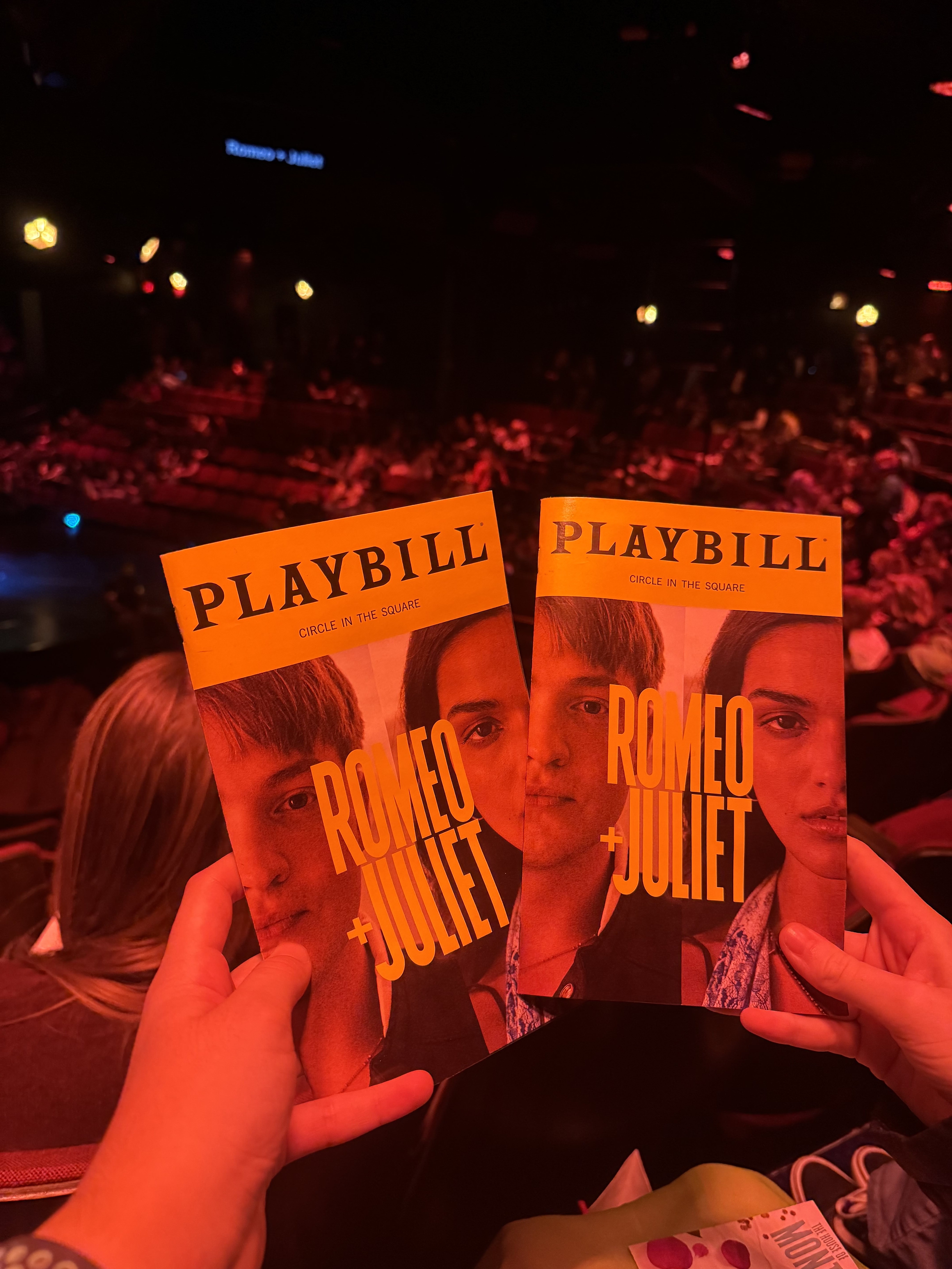 img 0365jpg by Sofia Orlando?width=698&height=466&fit=crop&auto=webp&dpr=4