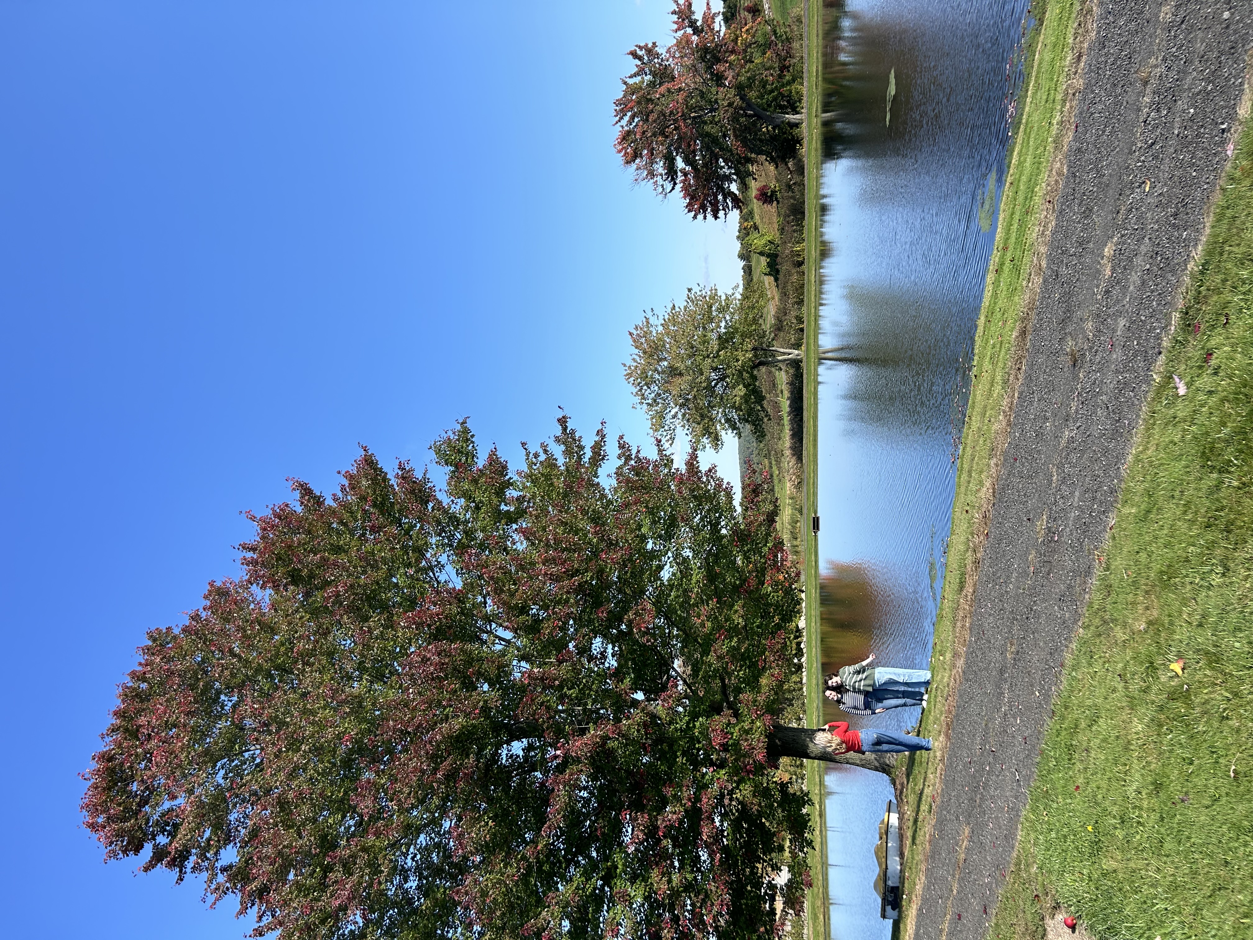 Fall foliage at Belltown Orchard