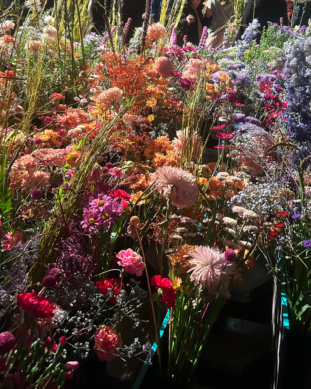 flowers from Philly flower show