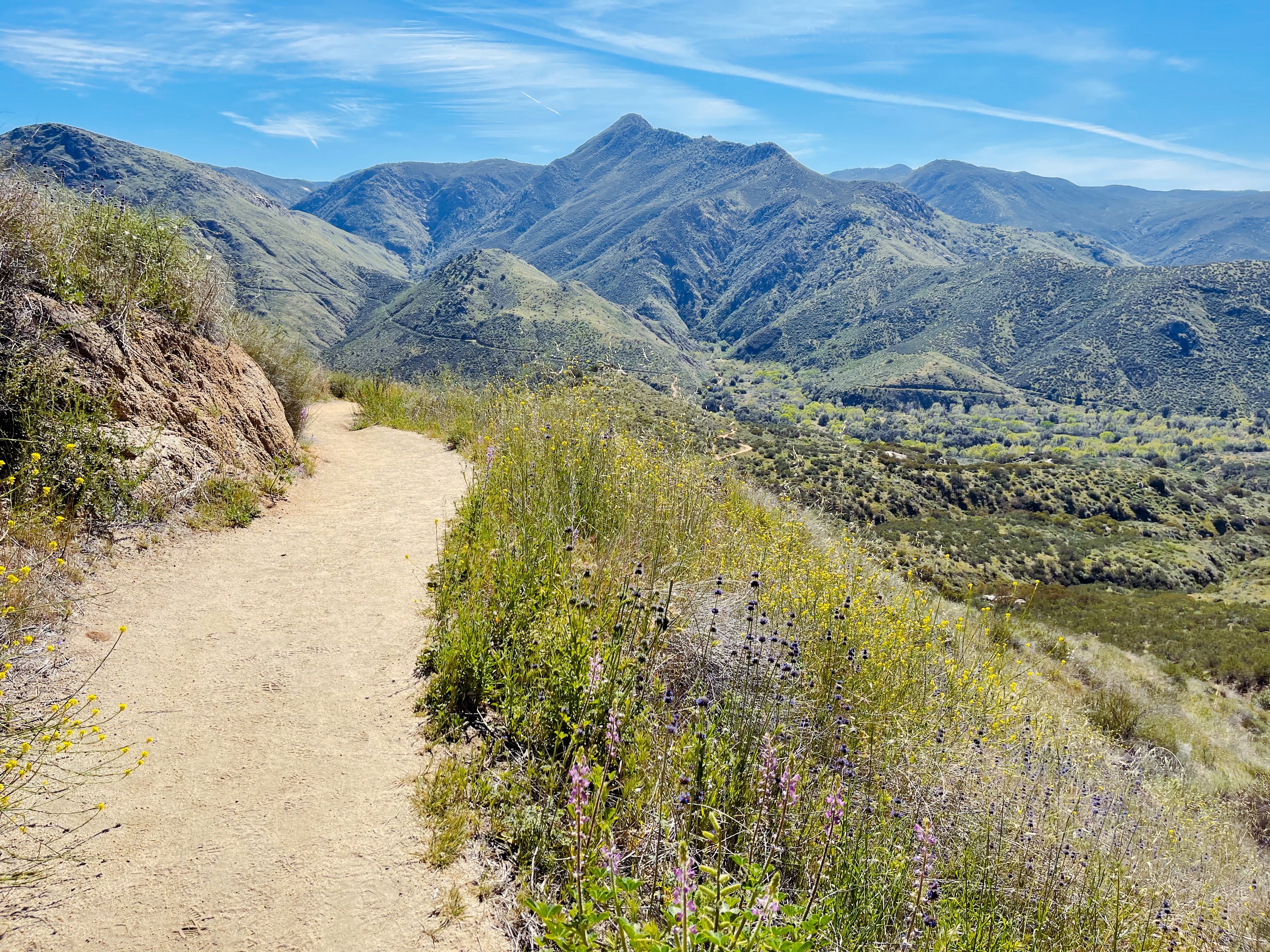 cedar creek falls trailjpg by Harshita Kumbham