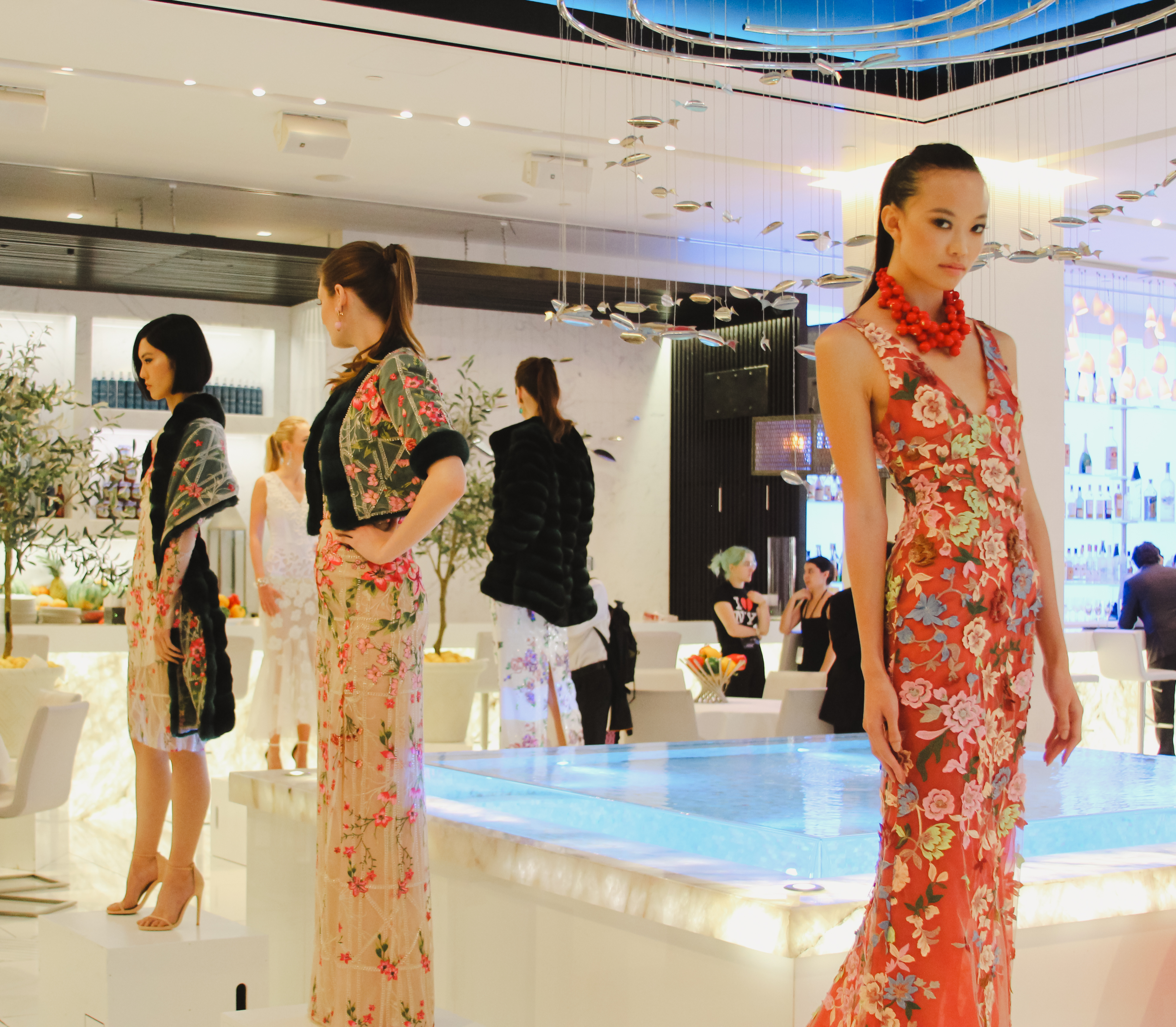 img 2987jpg by Gianna Aceto