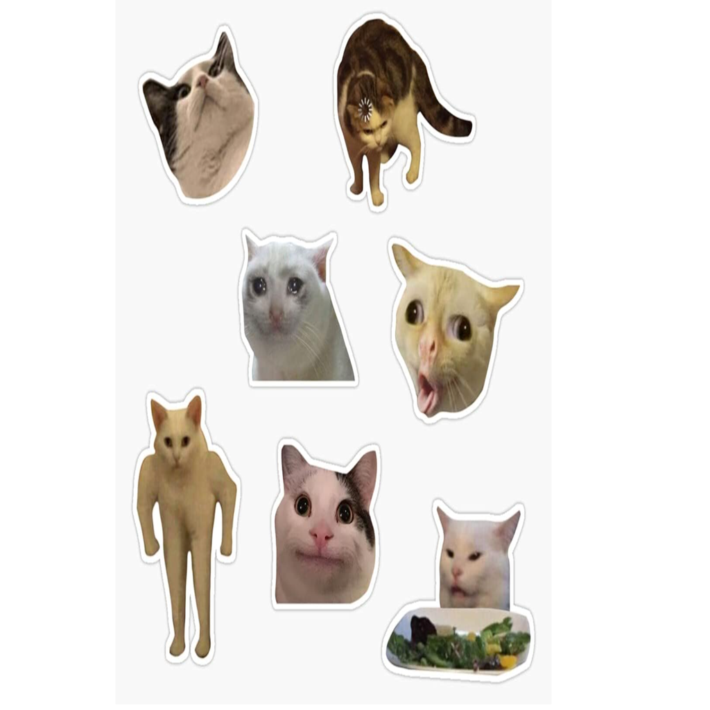 cat meme magnets