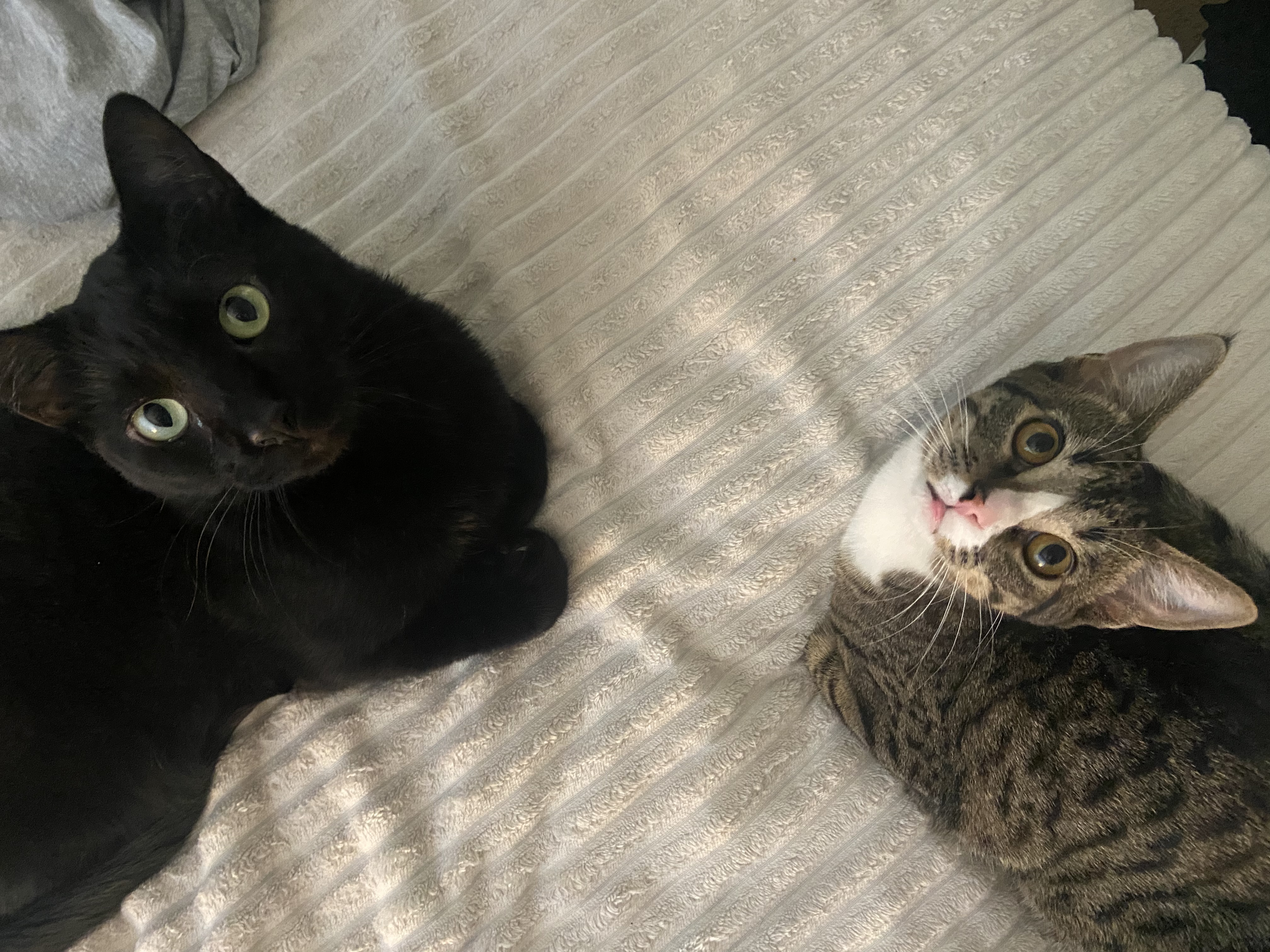 a4d3fd9772794694aabf1e2f25d449f5jpegjpg by Megan Kelsey?width=698&height=466&fit=crop&auto=webp&dpr=4