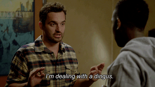 New Girl Nick Miller GIF Dingus