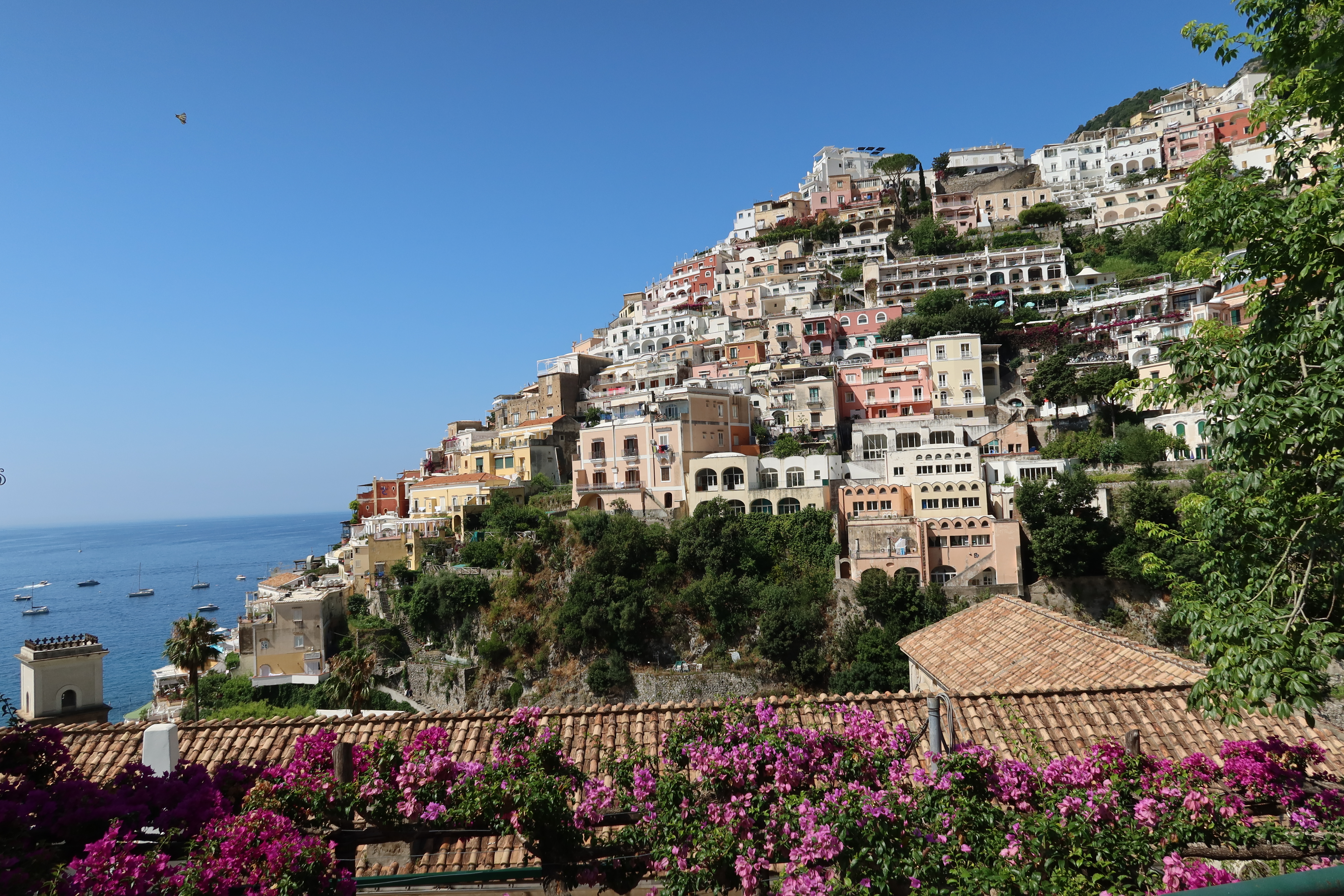 img 4938jpg by Blayre Brent me?width=698&height=466&fit=crop&auto=webp&dpr=4