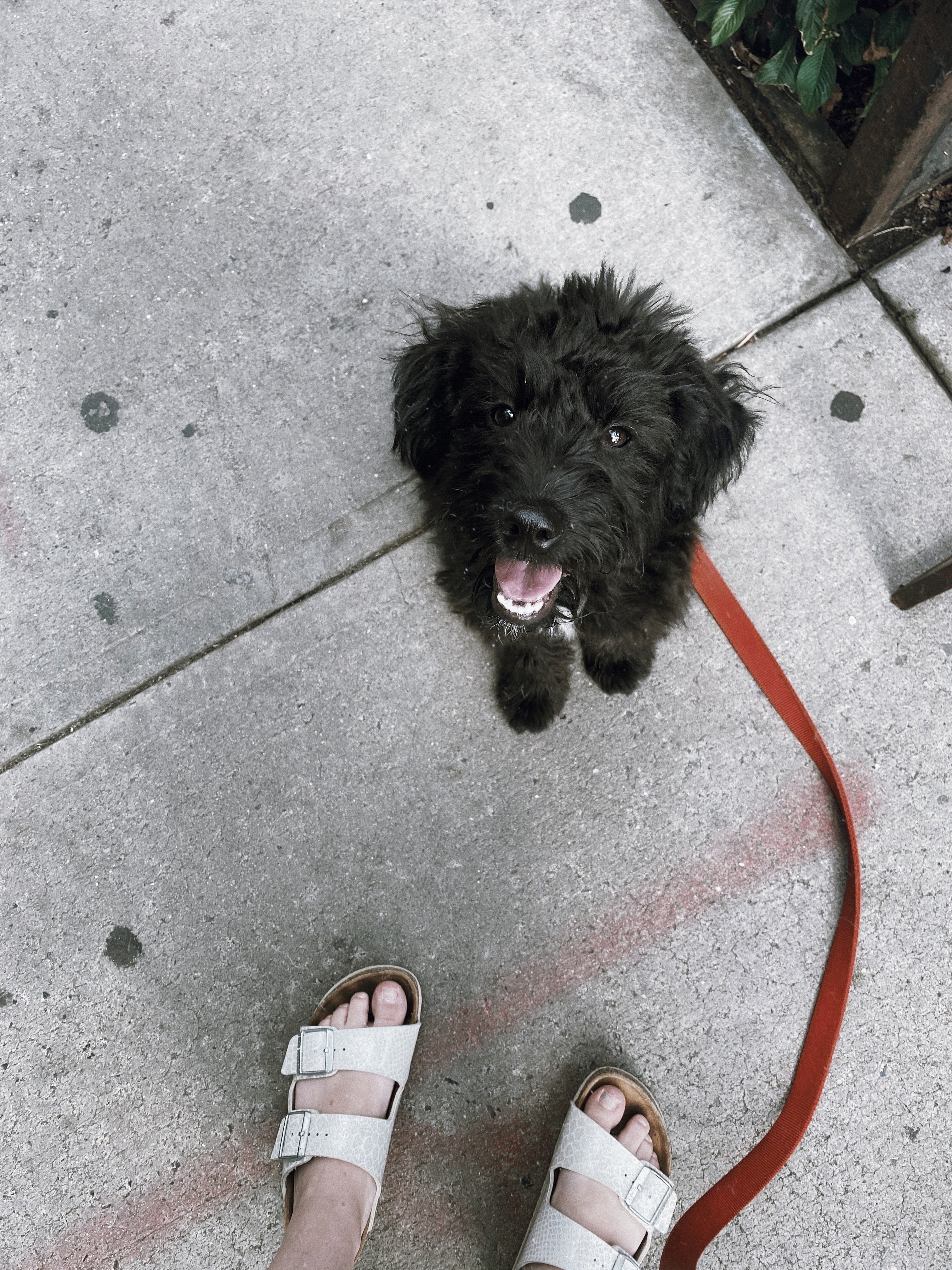 img 7404jpg by Shelby Hall?width=698&height=466&fit=crop&auto=webp&dpr=4