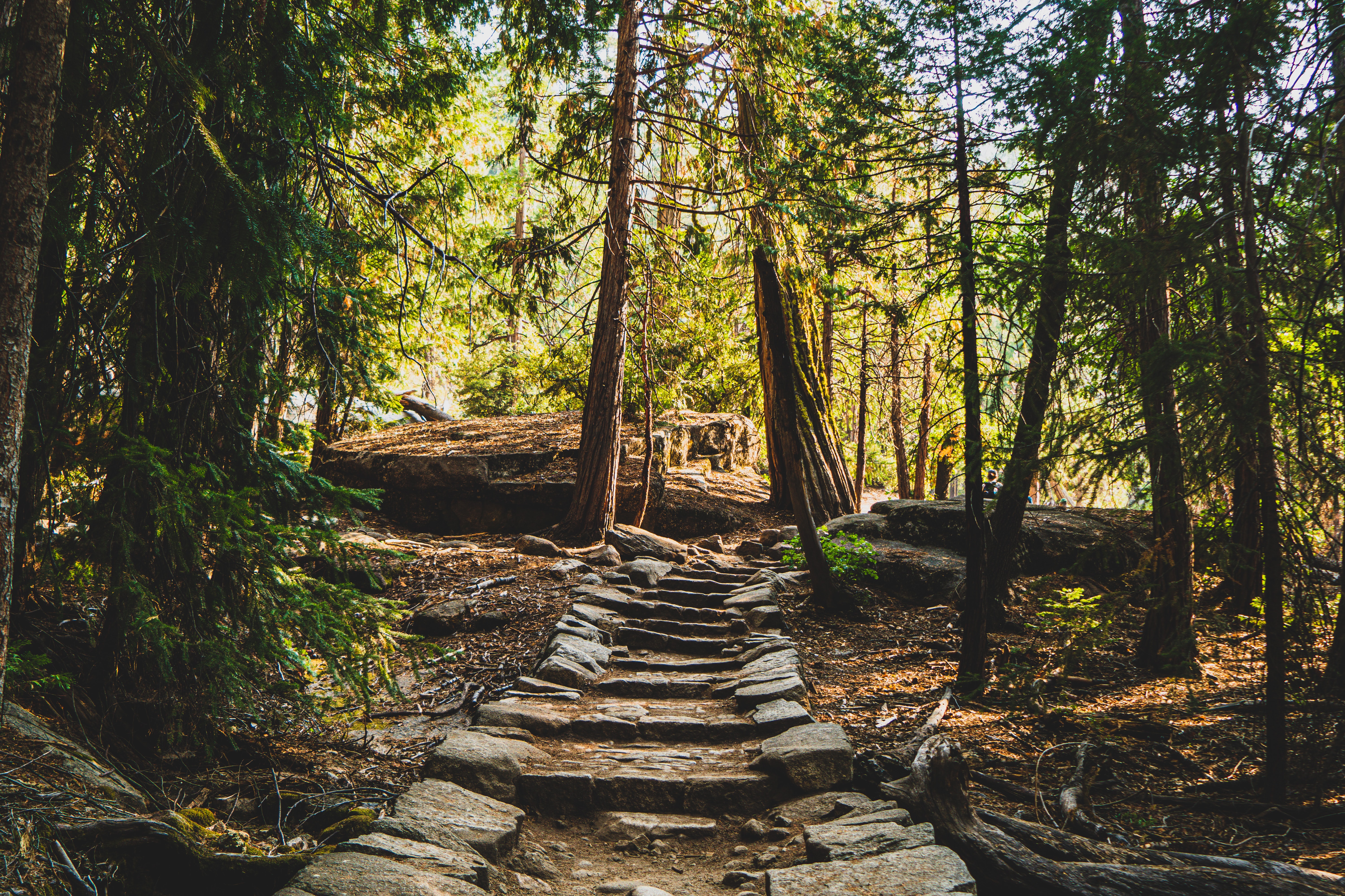 trail hcjpg by Unsplash