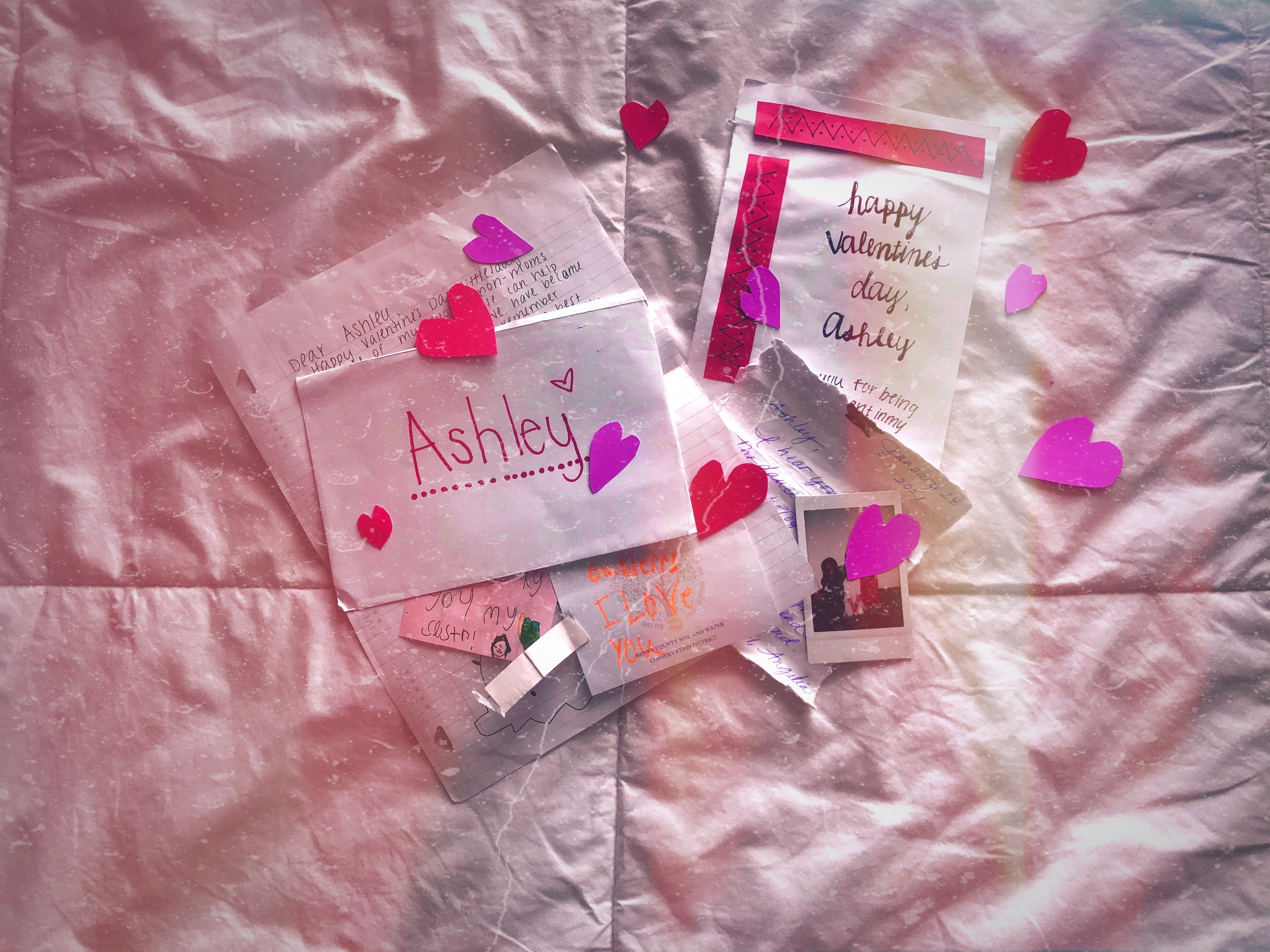 img 9234jpg by Ashley Edwards