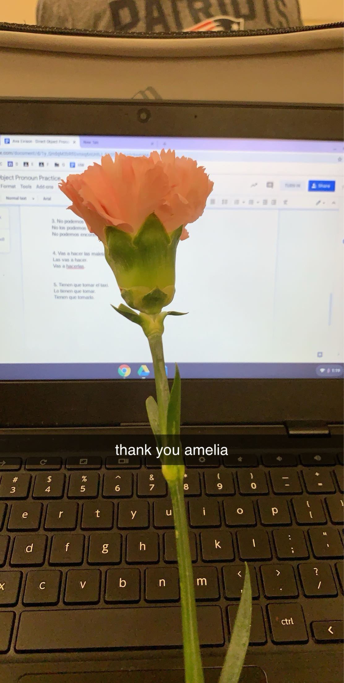 A single flower for Valentine\'s Day.