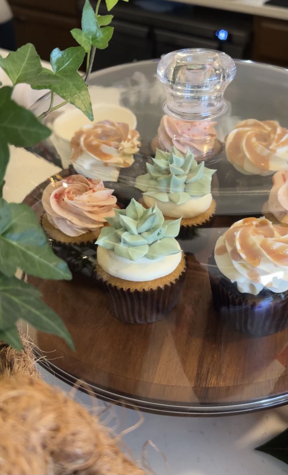 cupcakes in a display case