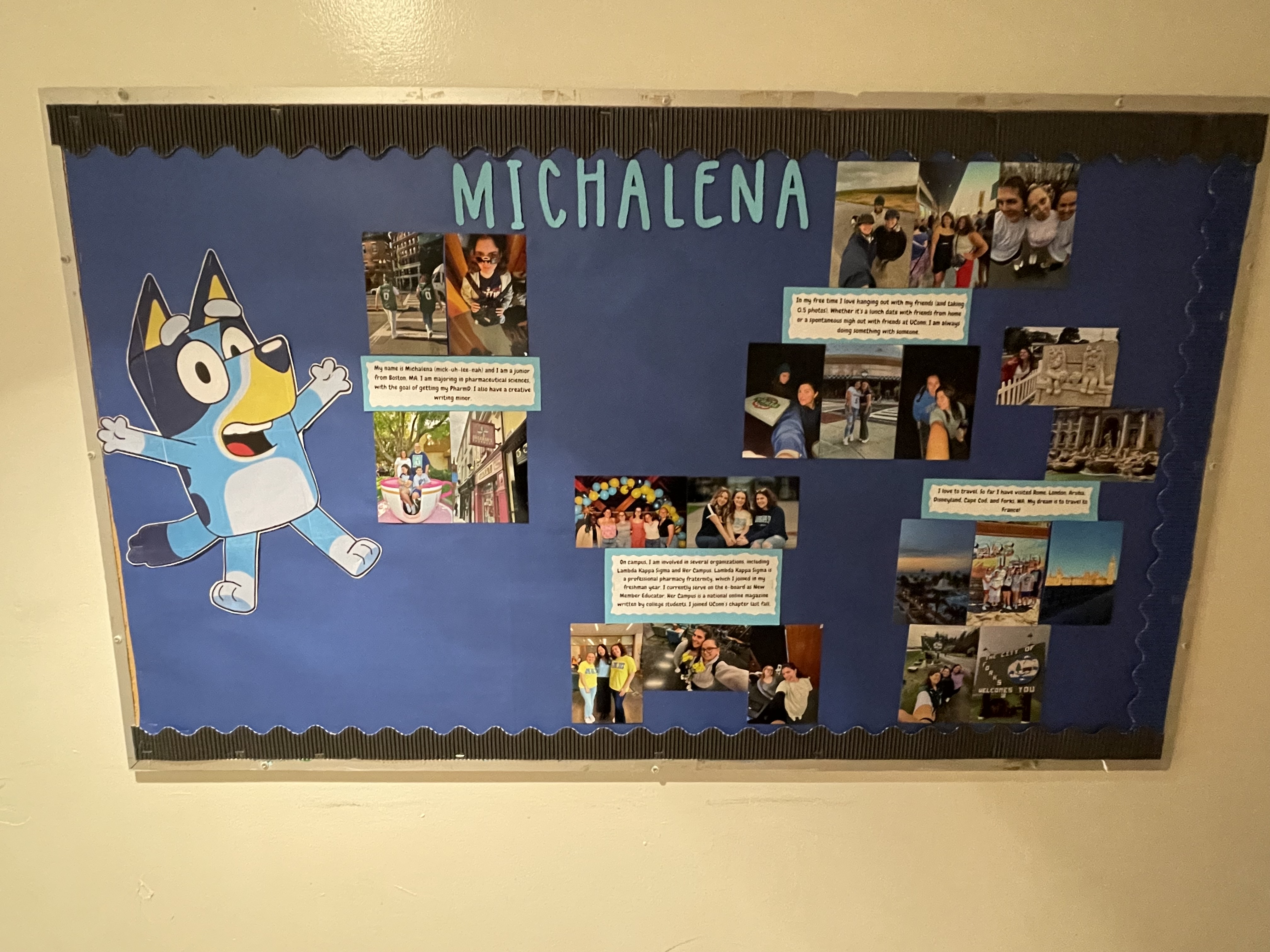 all about me bulletin board