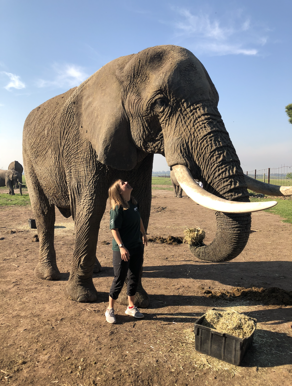 girl standing with elephant.