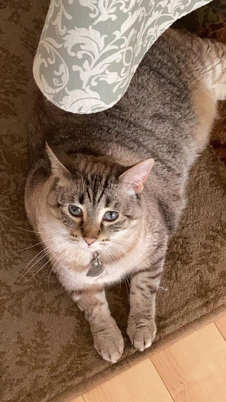 oatmeal 3jpg by Becky Daubert?width=698&height=466&fit=crop&auto=webp&dpr=4