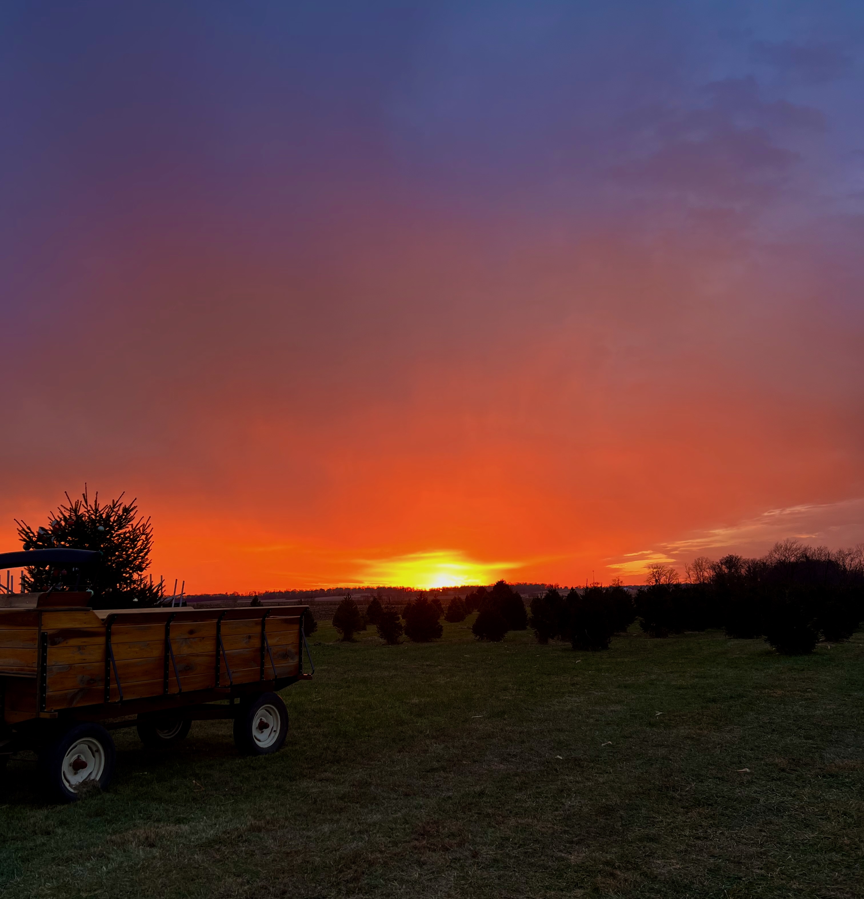 img 1540jpegjpg by Brynn Kelly?width=698&height=466&fit=crop&auto=webp&dpr=4