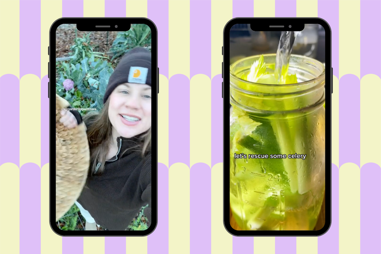 sustainability tiktokers?width=1280&height=854&fit=crop&auto=webp&dpr=4