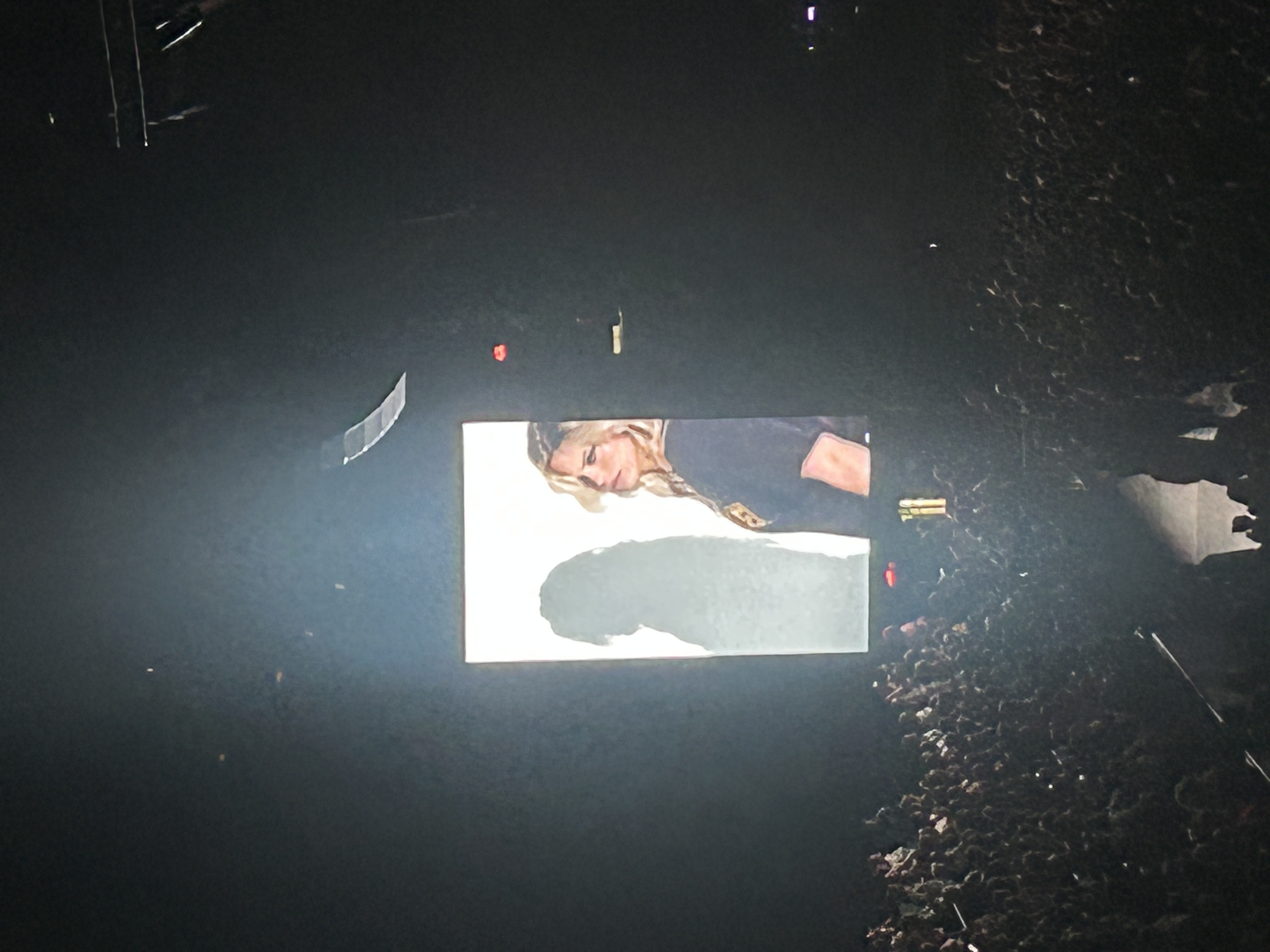 Renee Rapp Concert 9/25/25