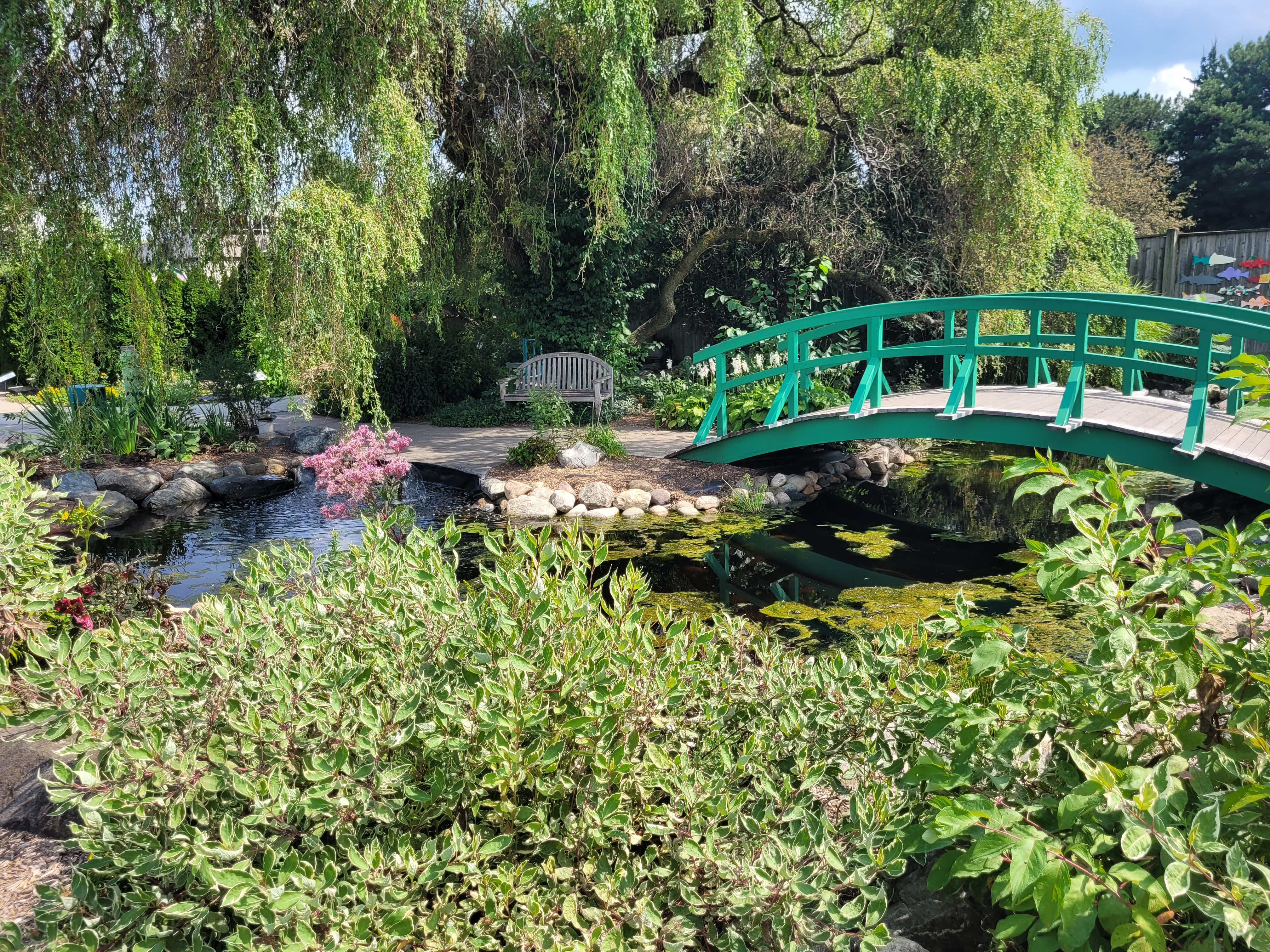 Picture from the childrens garden on campus