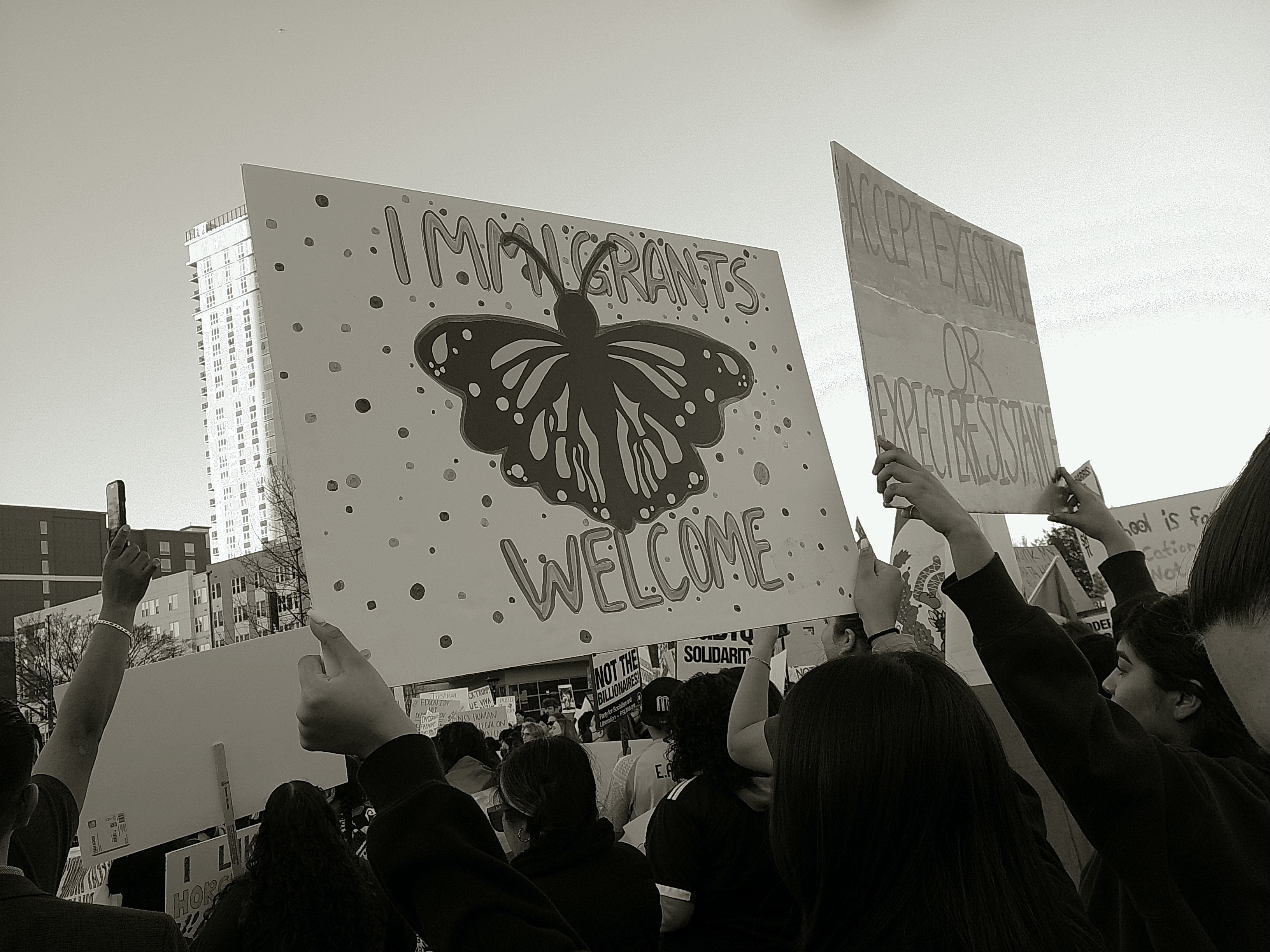 dscf0023jpegjpg by Brooklyn Brown?width=698&height=466&fit=crop&auto=webp&dpr=4