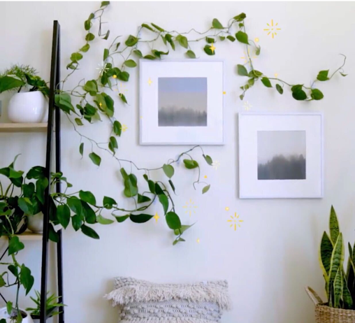 unnamed 2?width=500&height=500&fit=cover&auto=webp&dpr=4