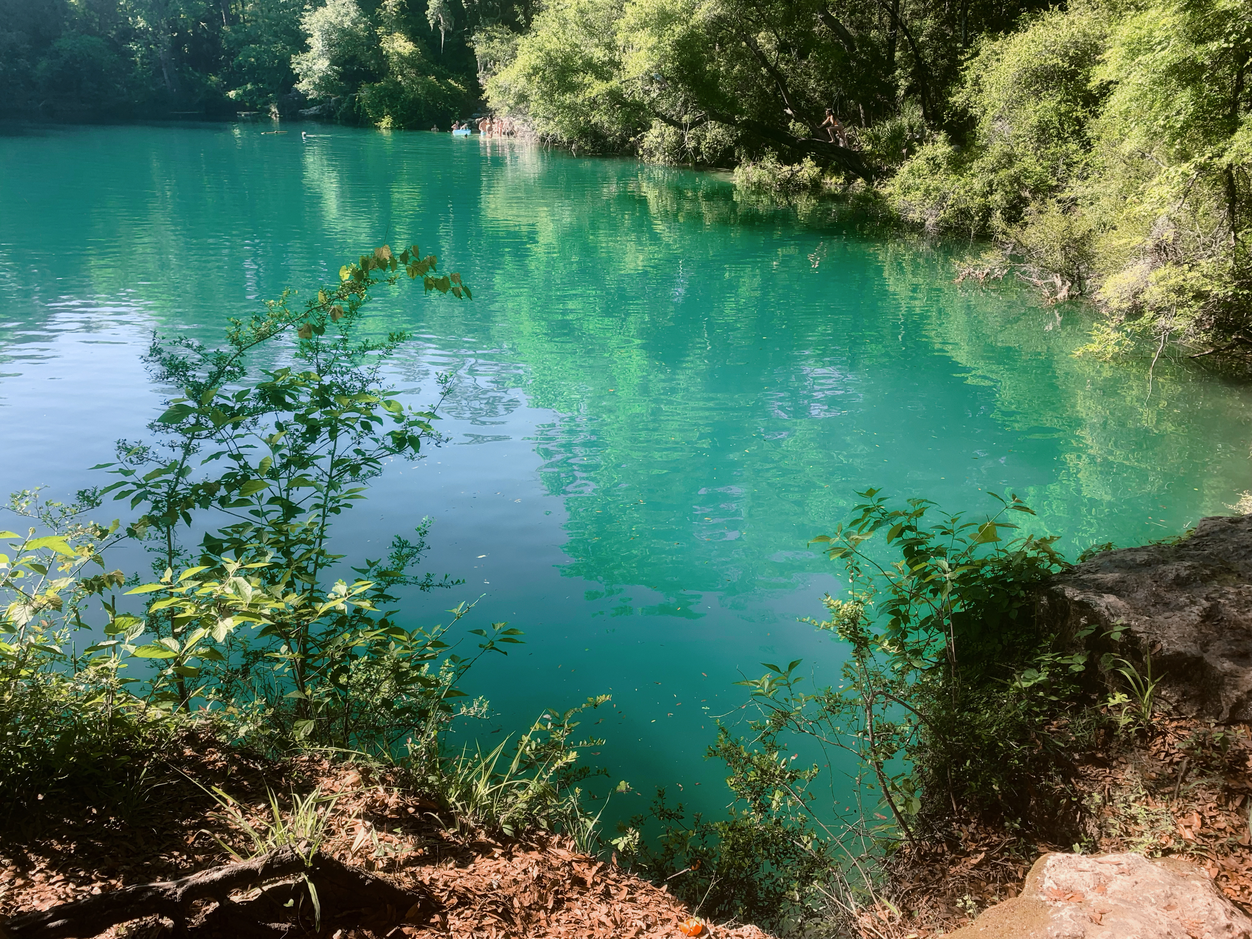 8257eb2ba8514cbeb94995233f210d25jpg by Maya Shah?width=698&height=466&fit=crop&auto=webp&dpr=4