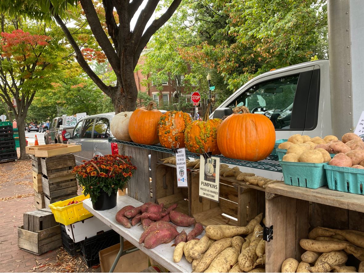 5jpg by Sophia Thomas?width=698&height=466&fit=crop&auto=webp&dpr=4