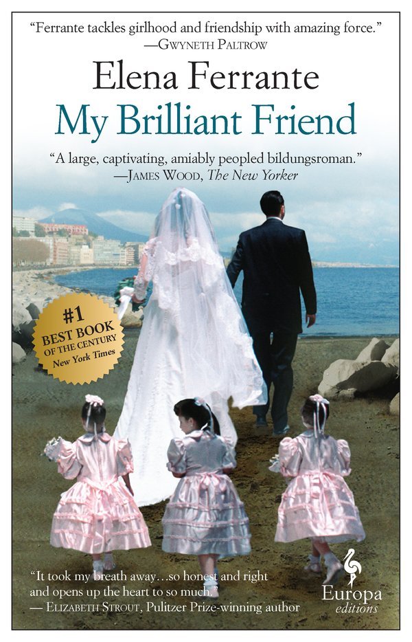 my brilliant friend book
