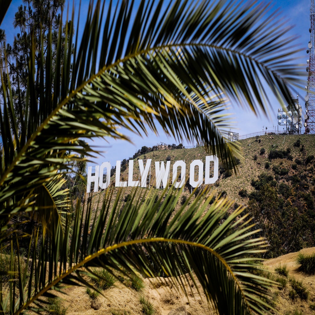 The Hollywood sign surrounded by palm trees