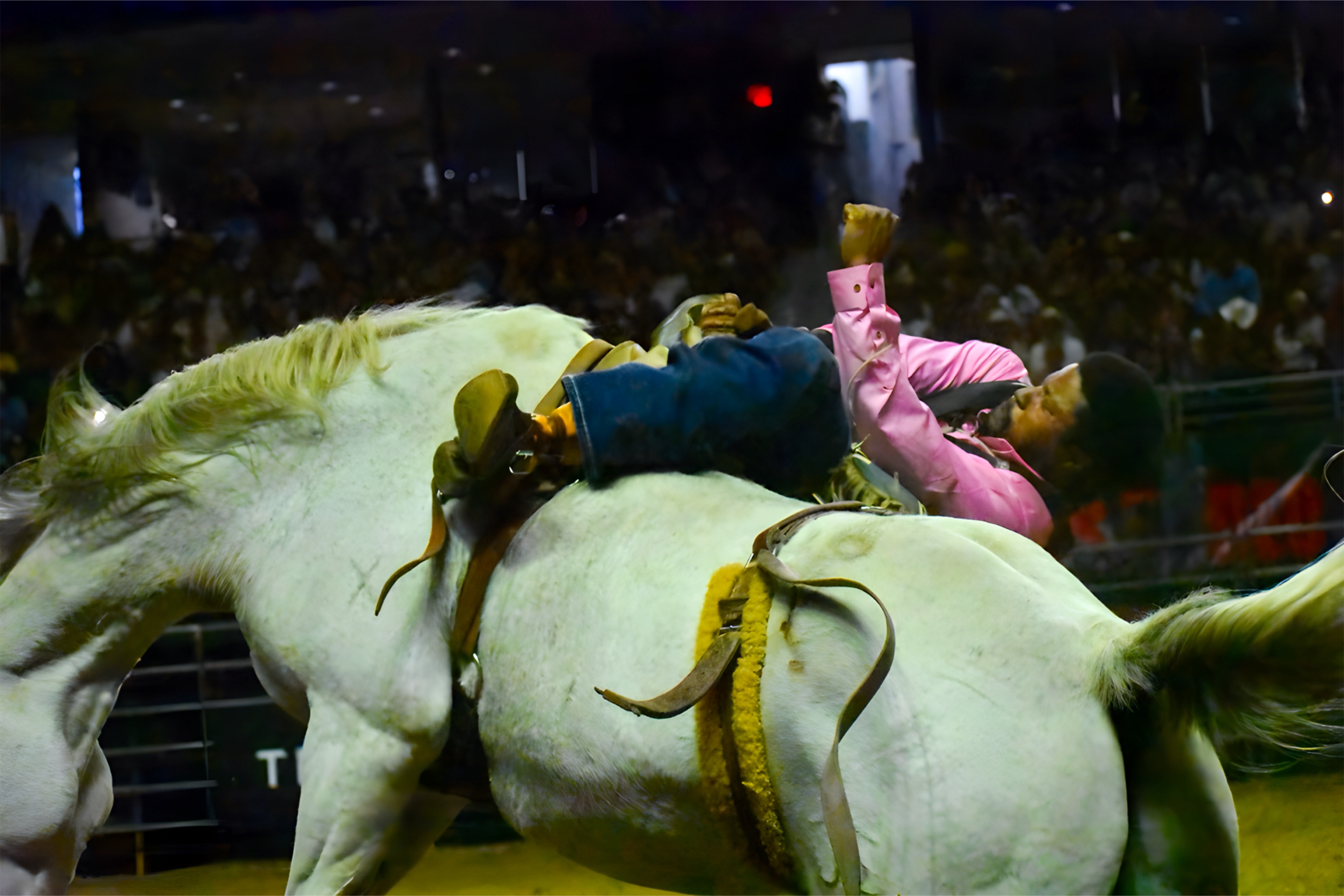 Cowboy holds on while bronco buckles