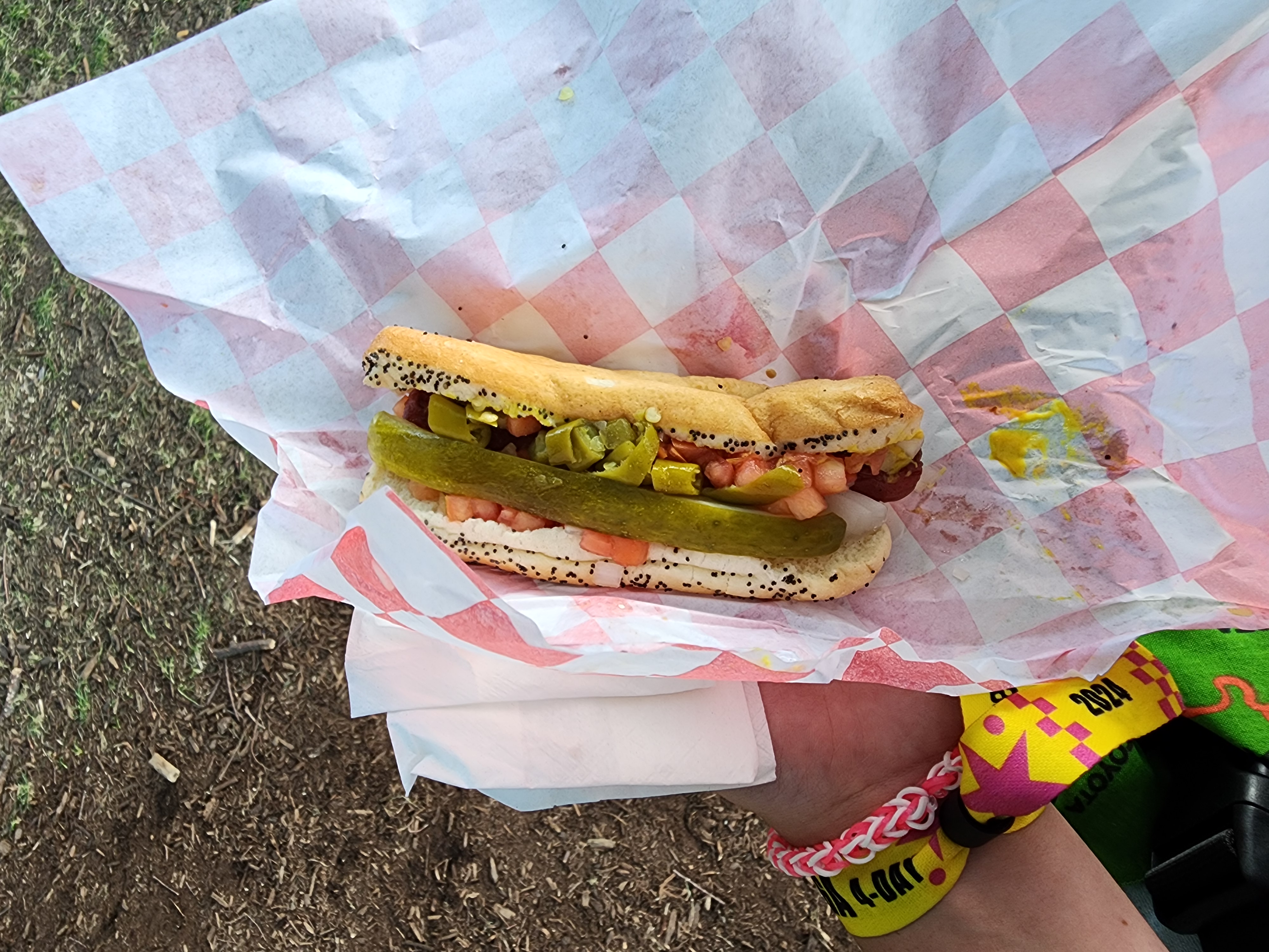 Hot dogs at lollapalooza