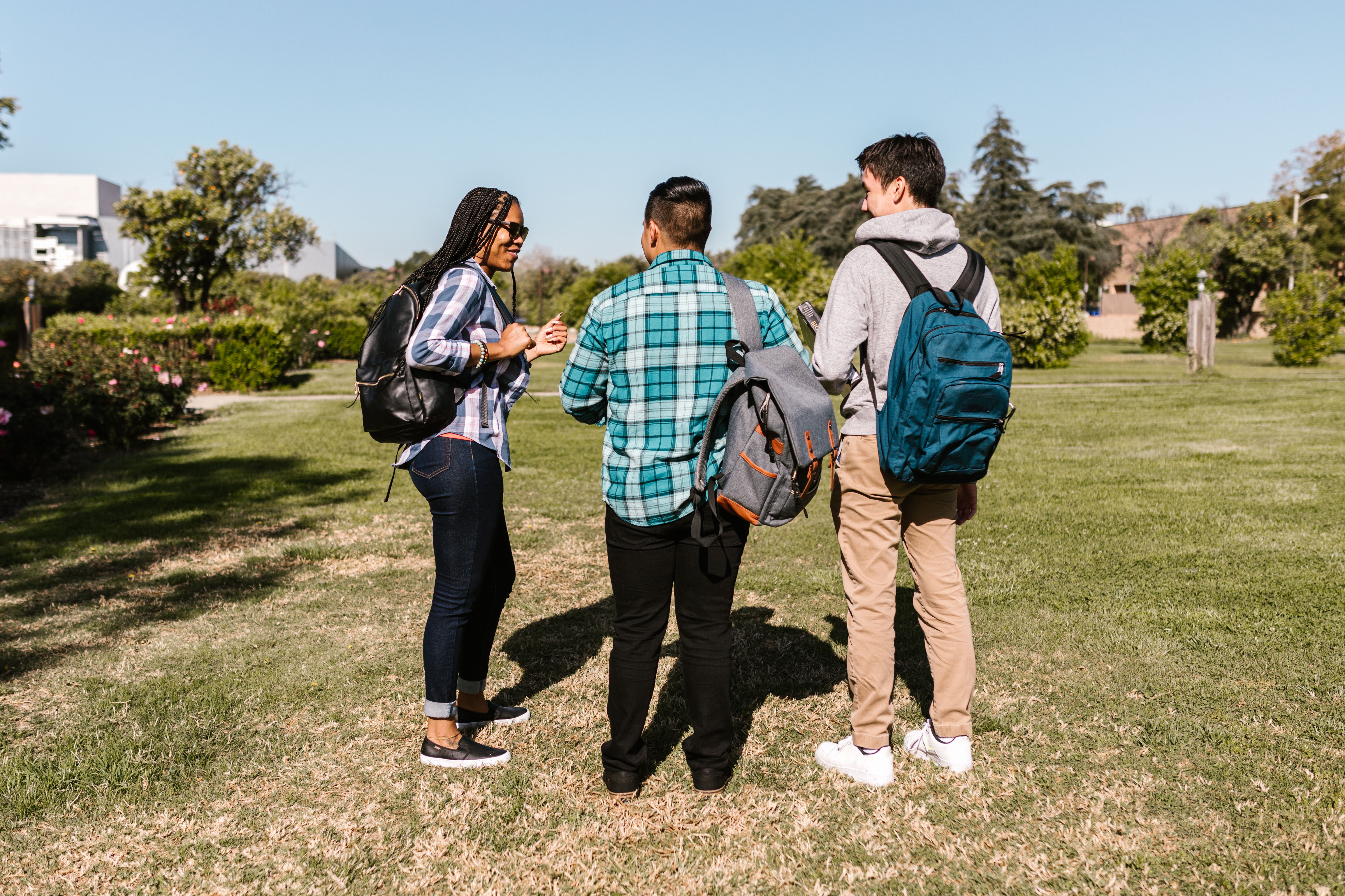 Students conversing in a field